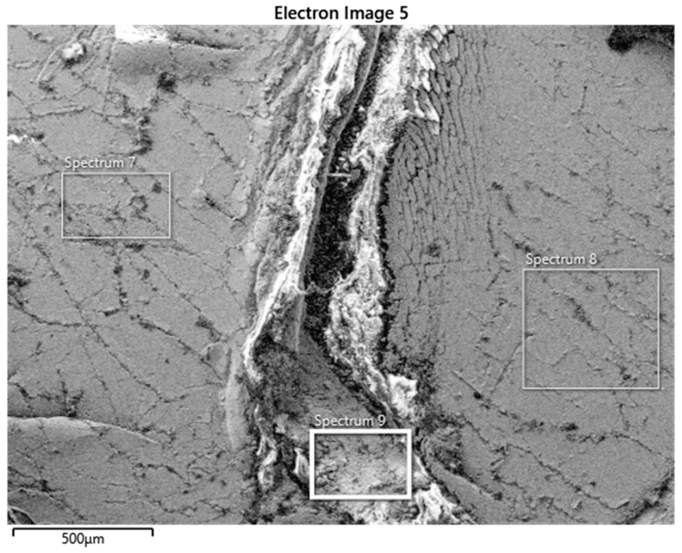 Recycling 10 00086 g010