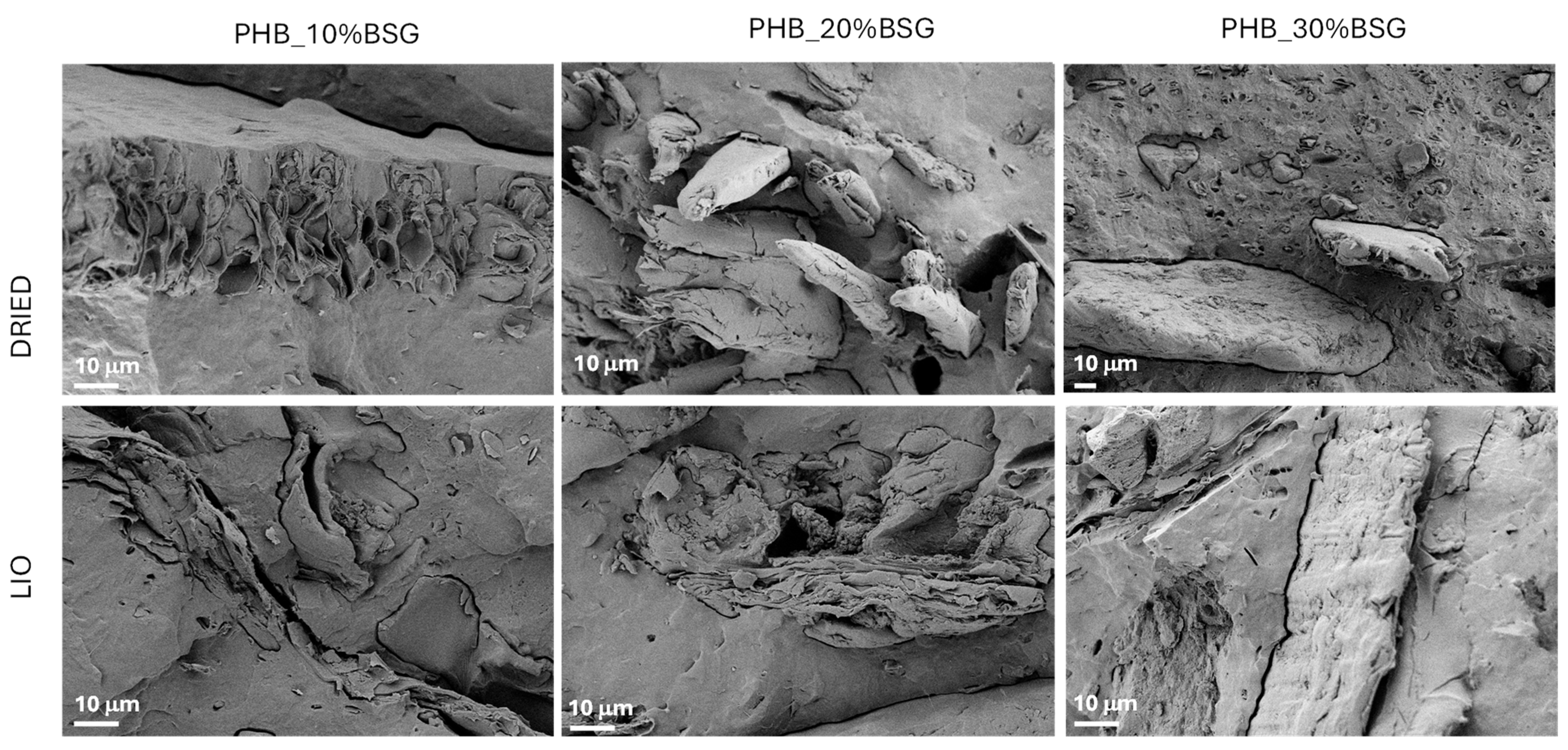 Recycling 10 00124 g009