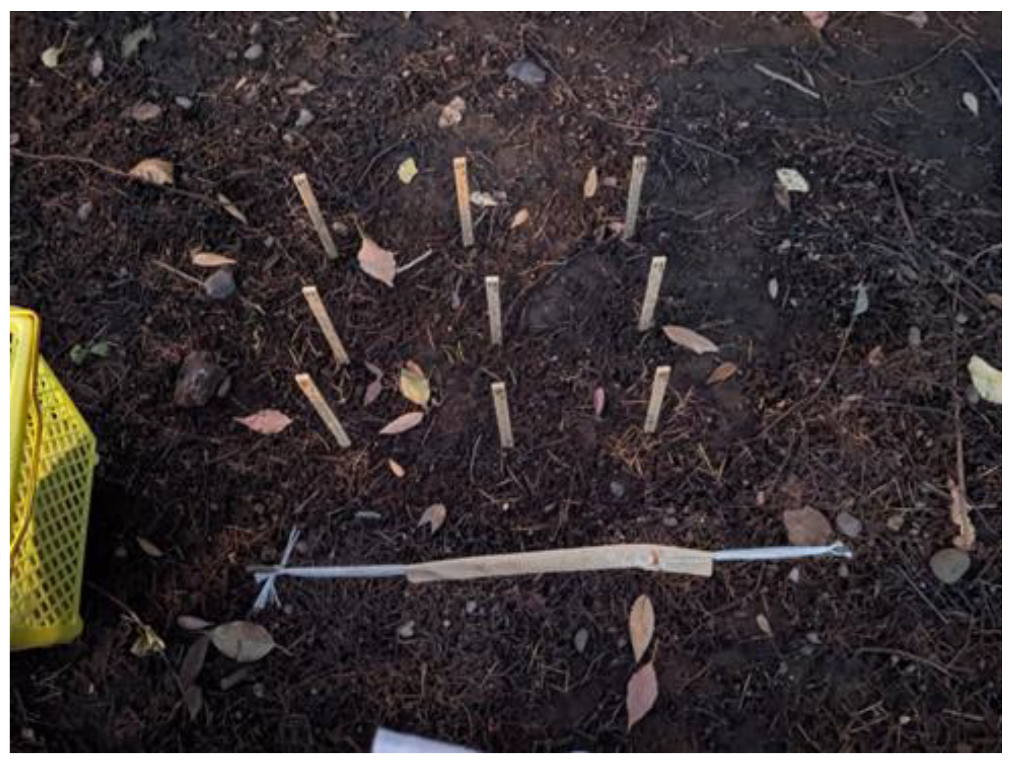 Recycling 10 00126 g001