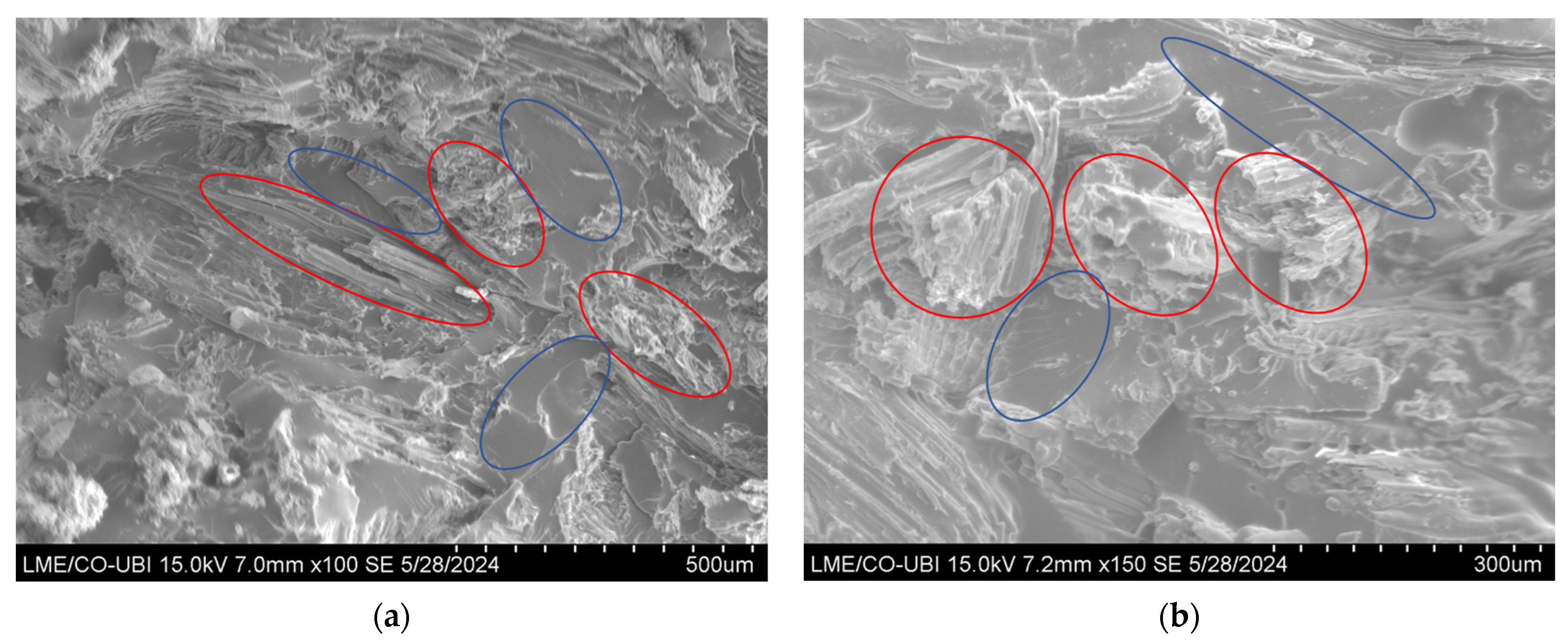 Recycling 10 00131 g005