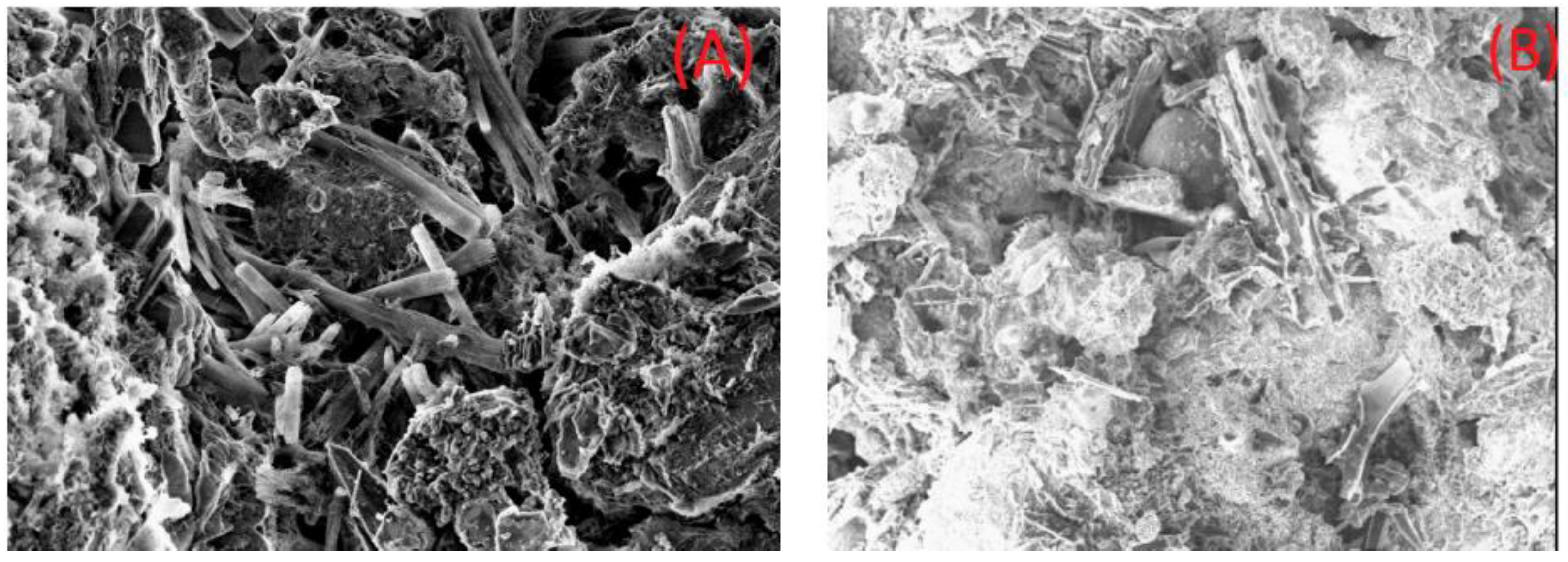 Recycling 10 00140 g005