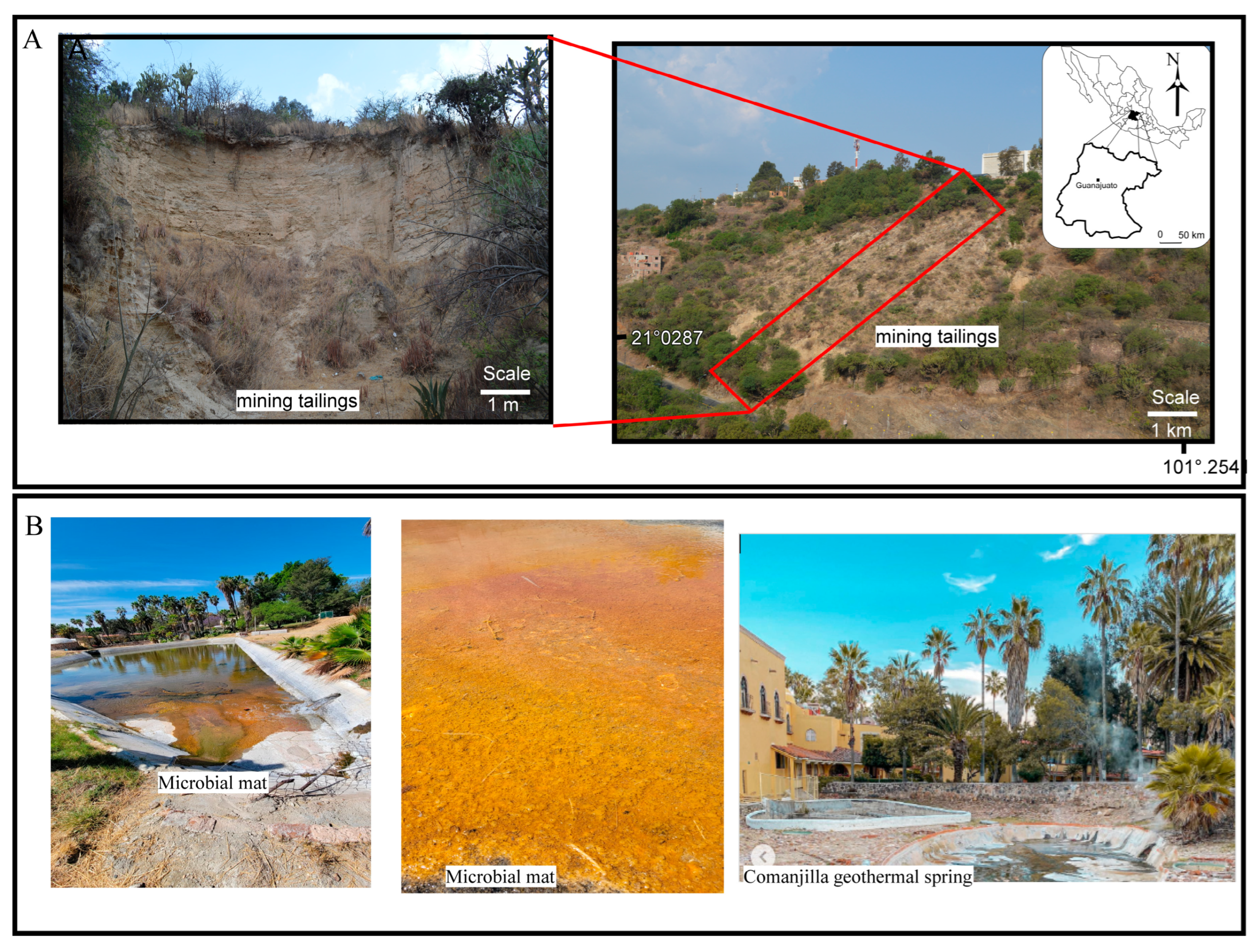 Recycling 10 00156 g004