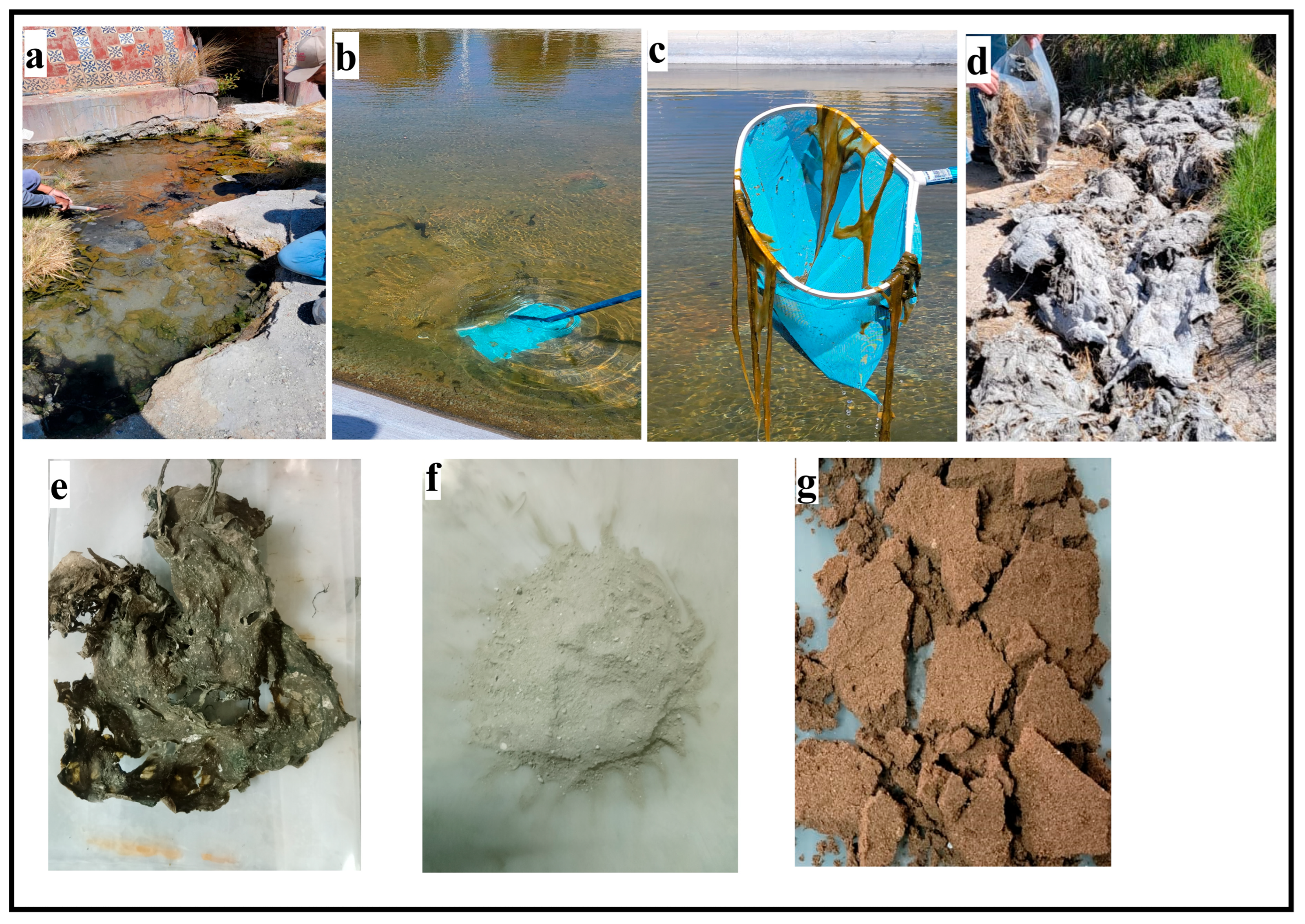 Recycling 10 00156 g005