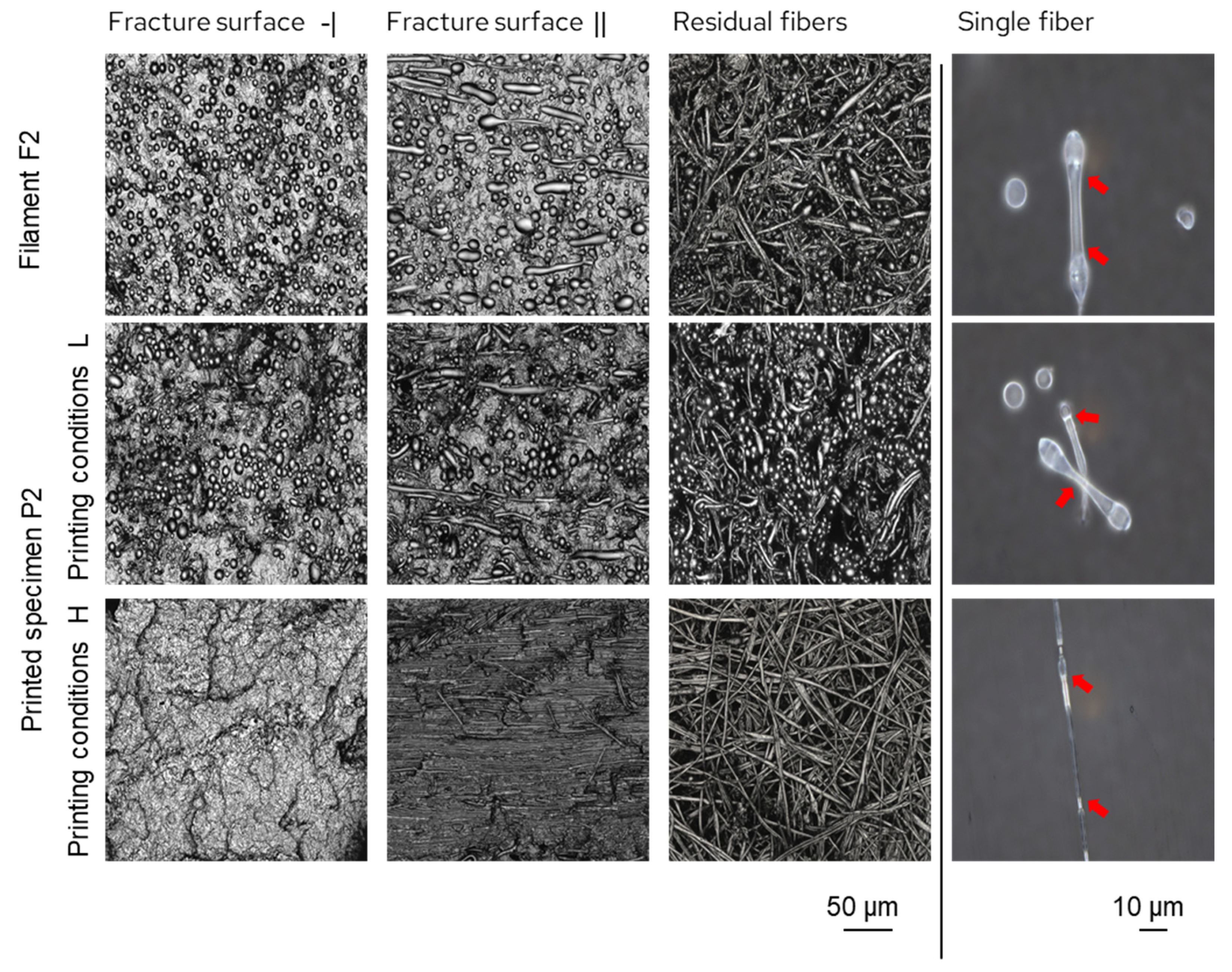 Recycling 10 00168 g003