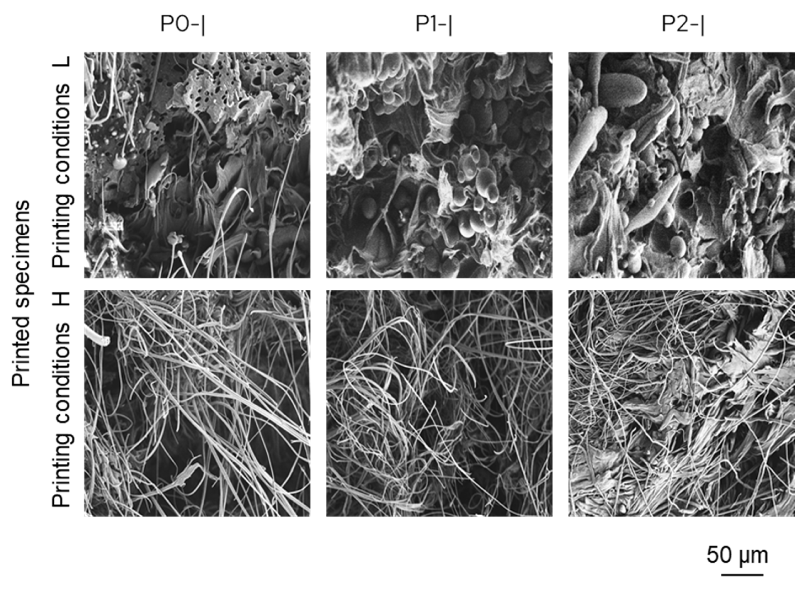 Recycling 10 00168 g005