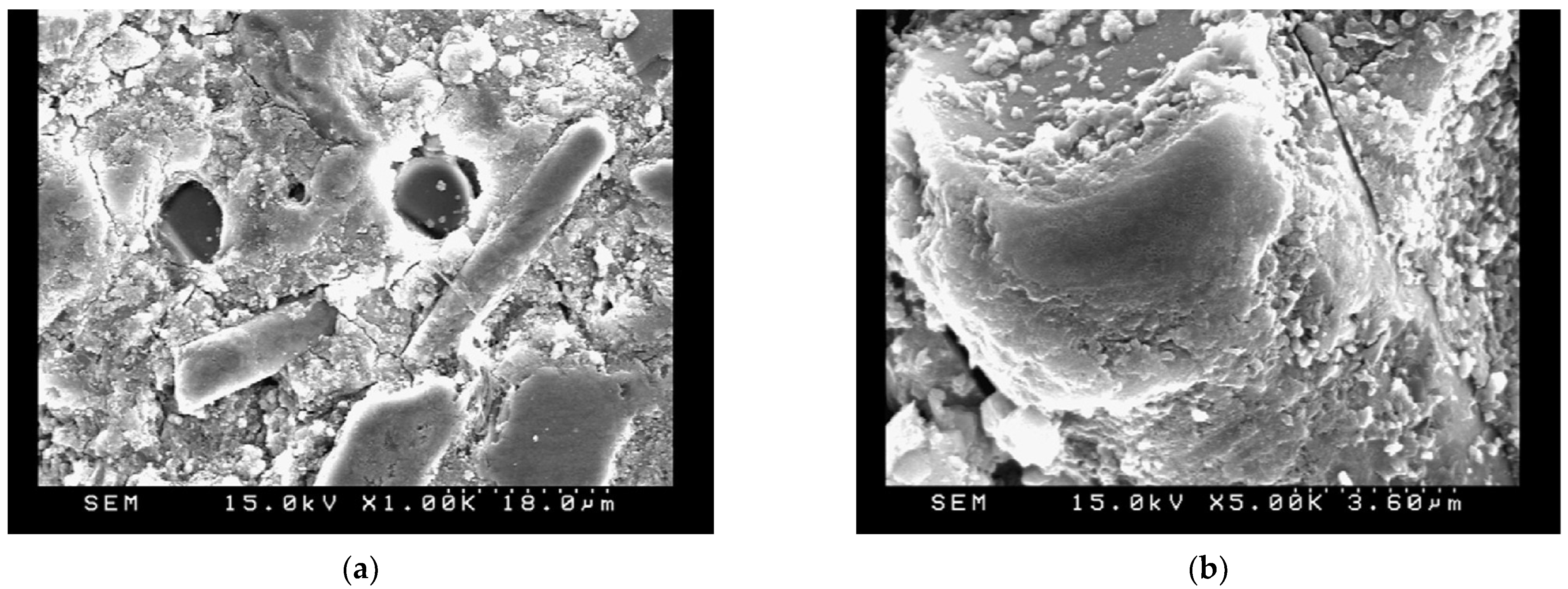 Recycling 10 00174 g009