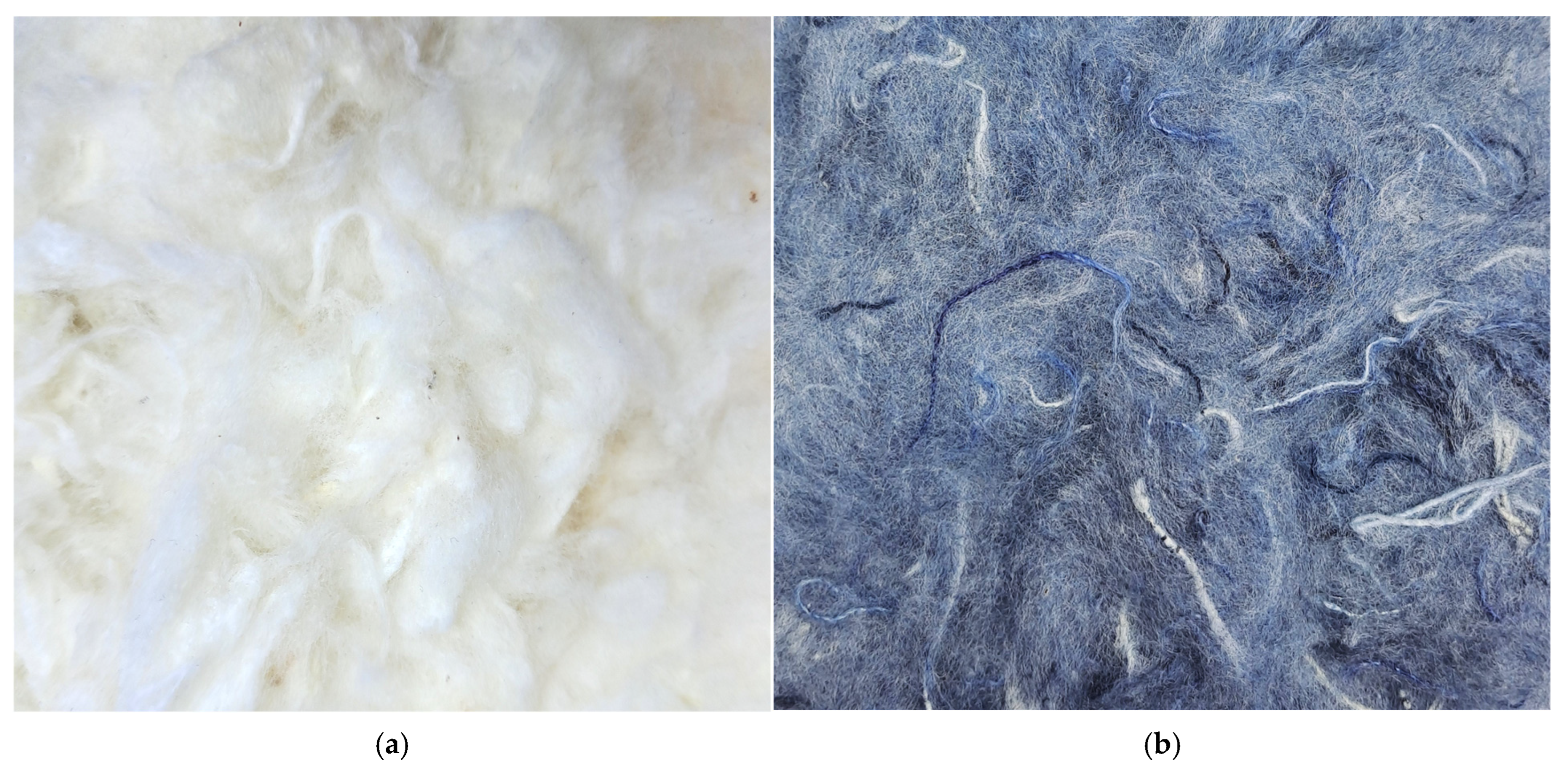 Recycling 10 00177 g002