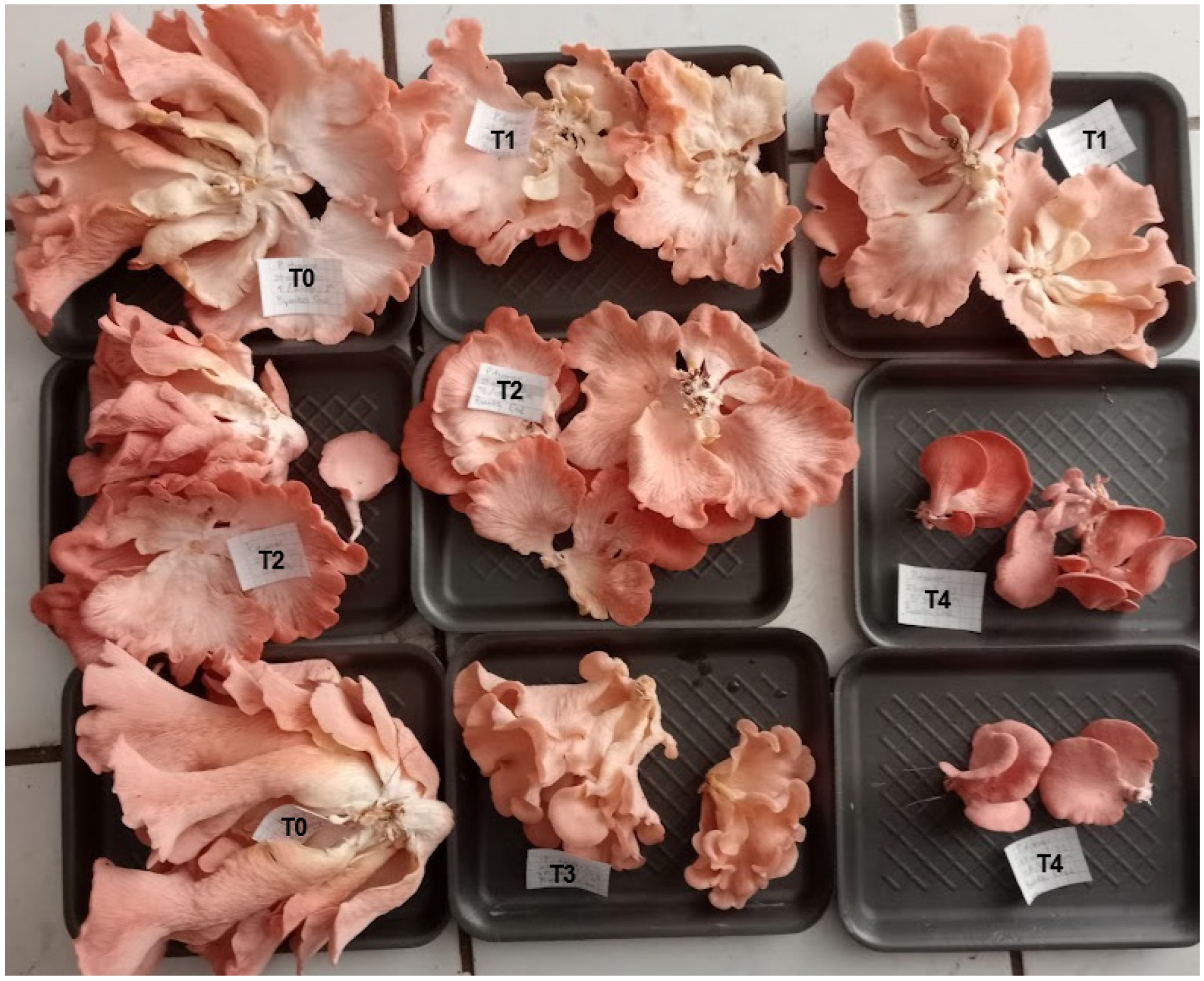 Recycling 10 00185 g004