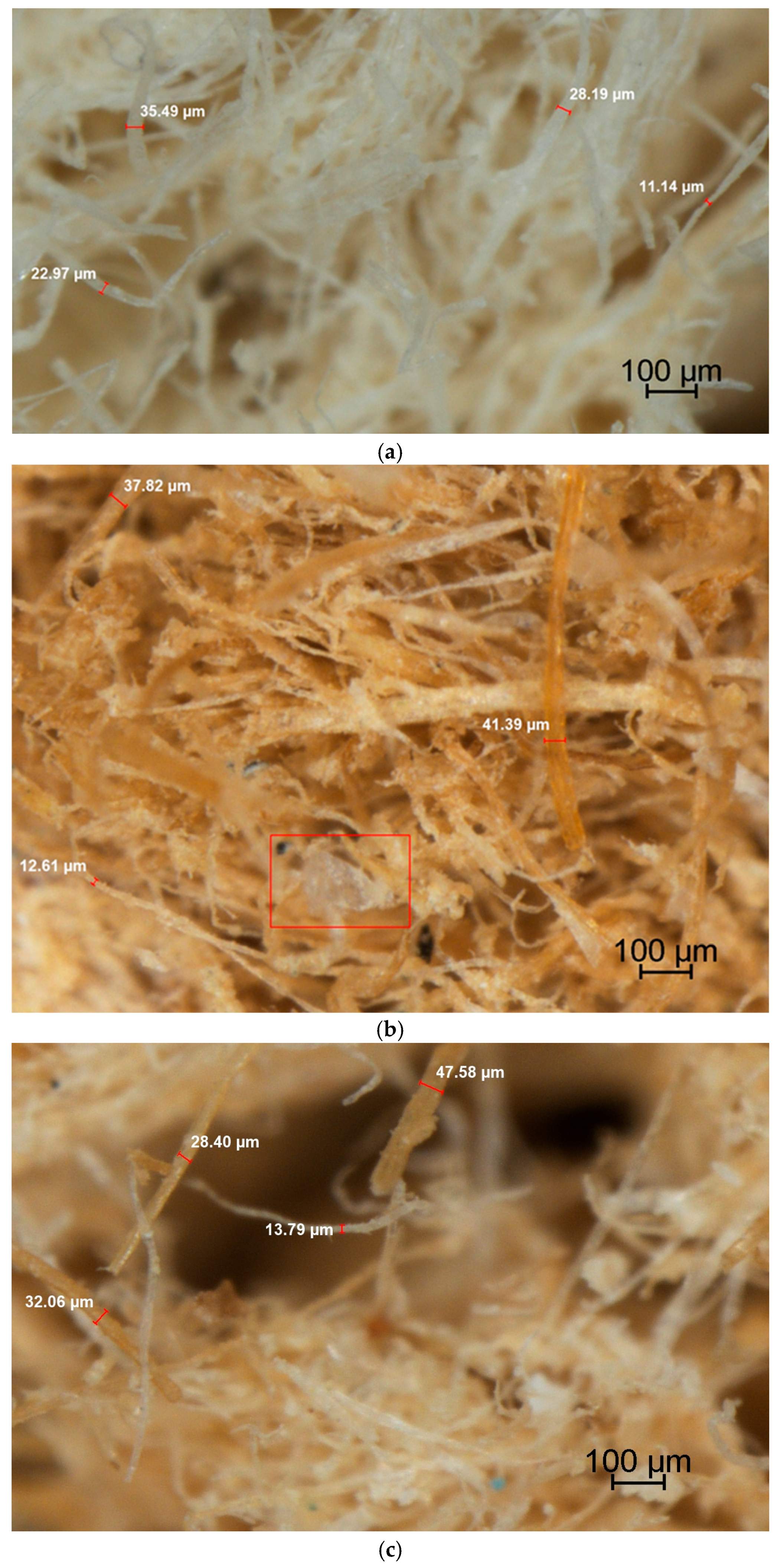 Recycling 10 00196 g006