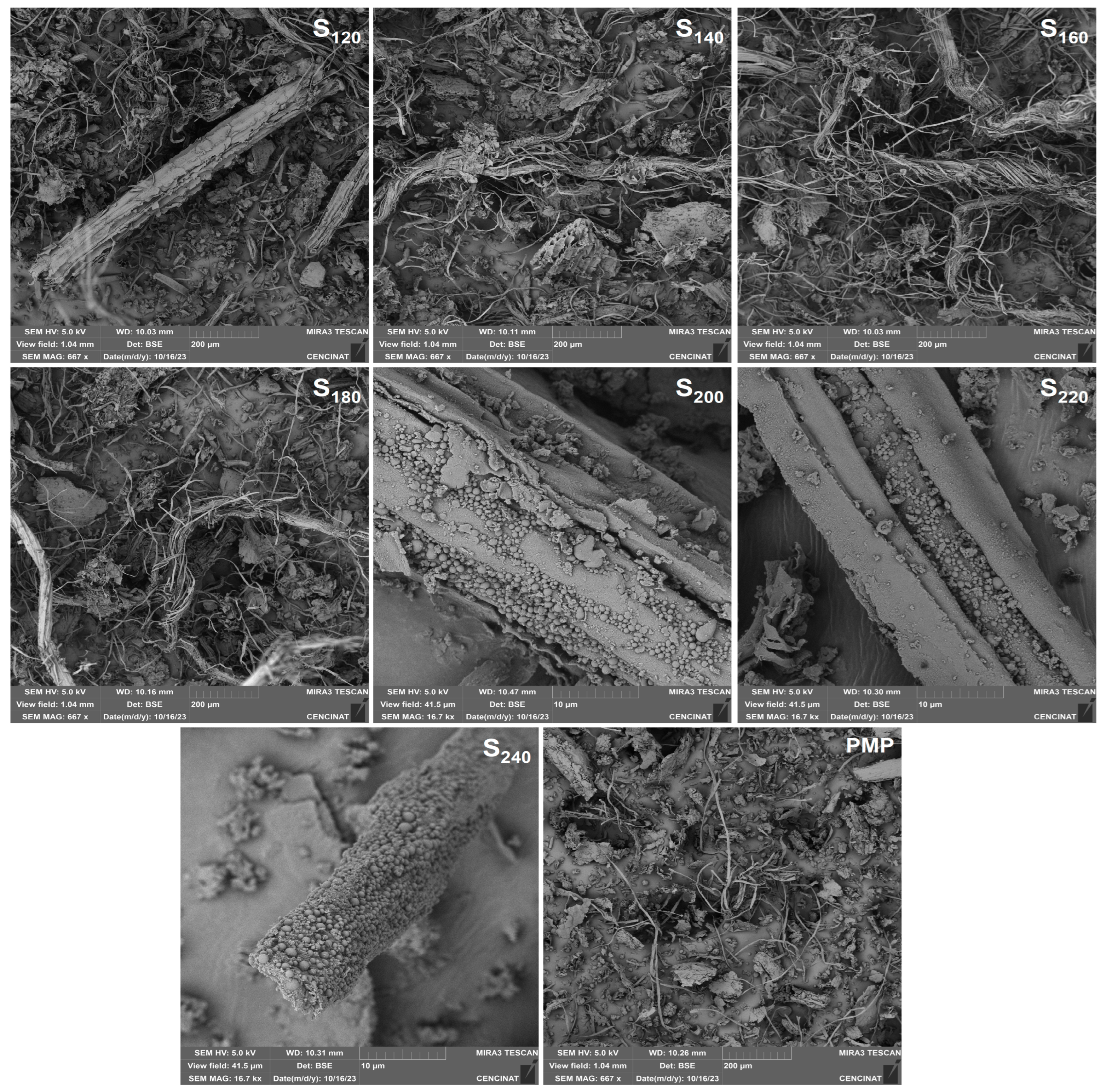 Recycling 10 00198 g007