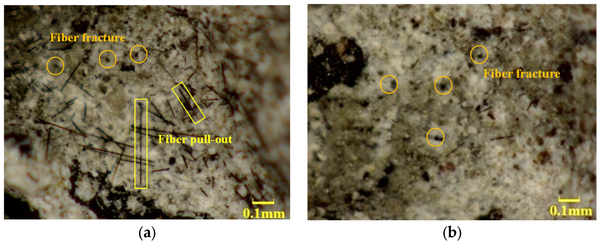 Recycling 10 00206 g003