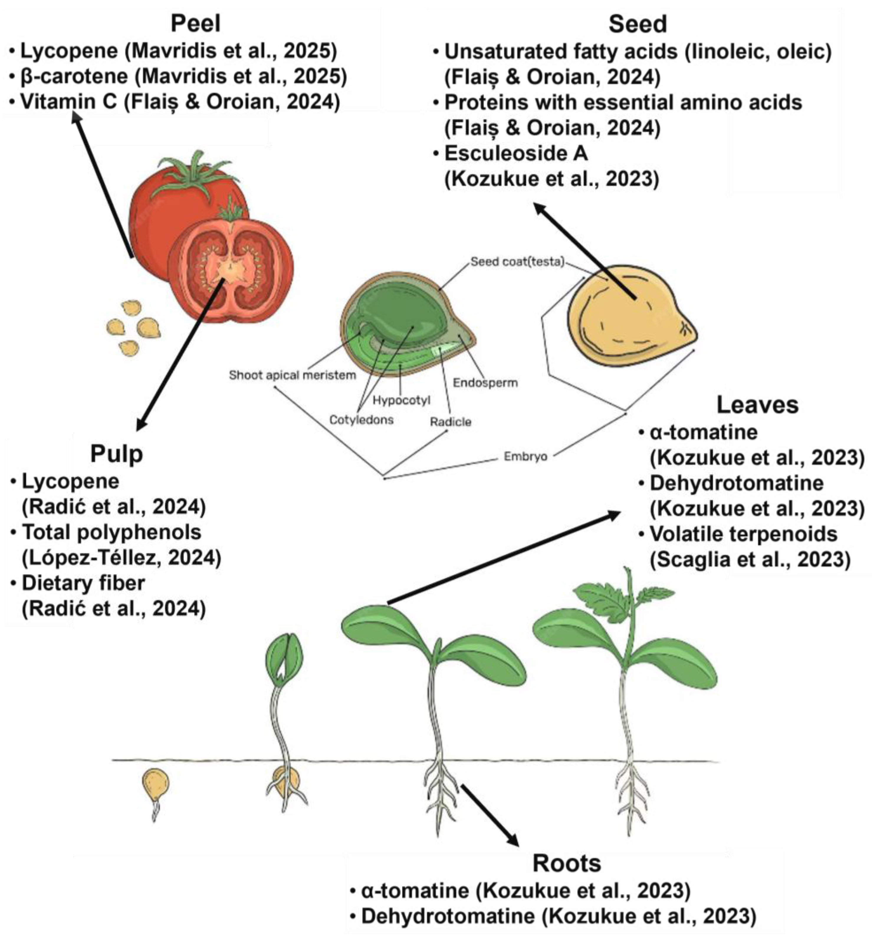 Recycling 11 00007 g005