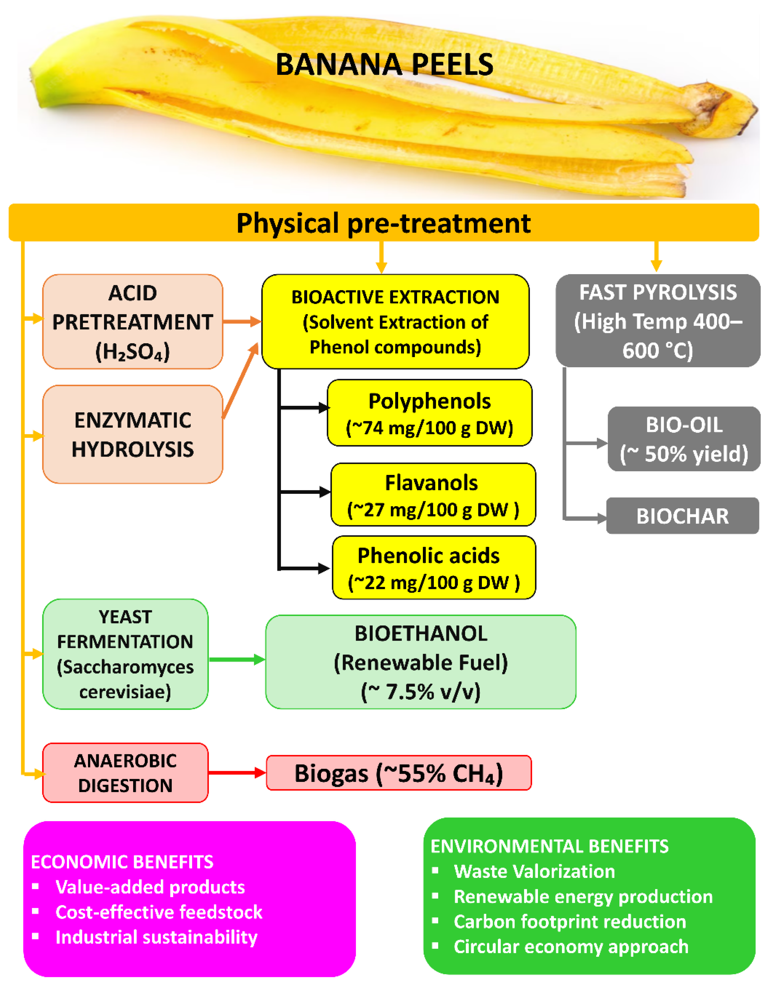 Recycling 11 00007 g012