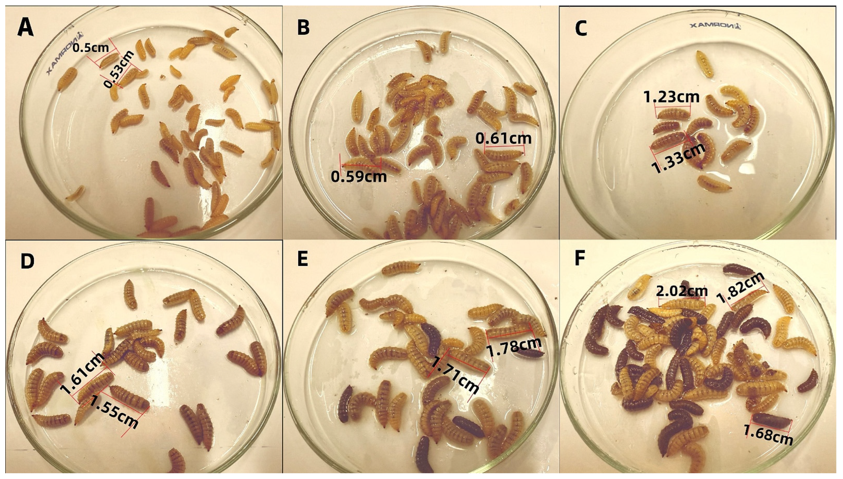 Recycling 11 00008 g001 Recycling 11 00008 g001