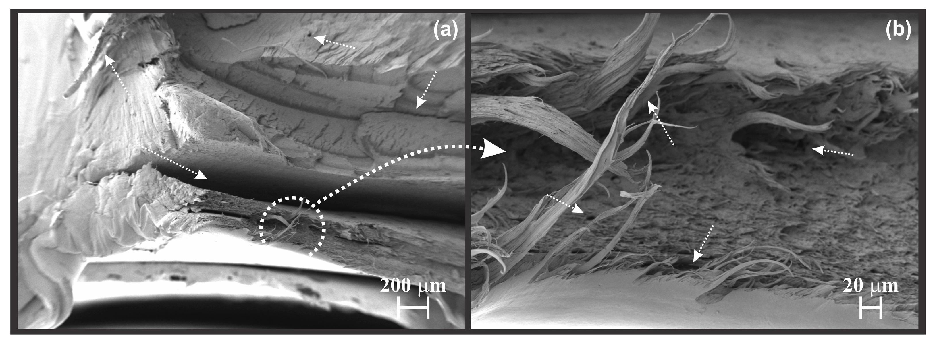 Recycling 11 00026 g006 Recycling 11 00026 g006
