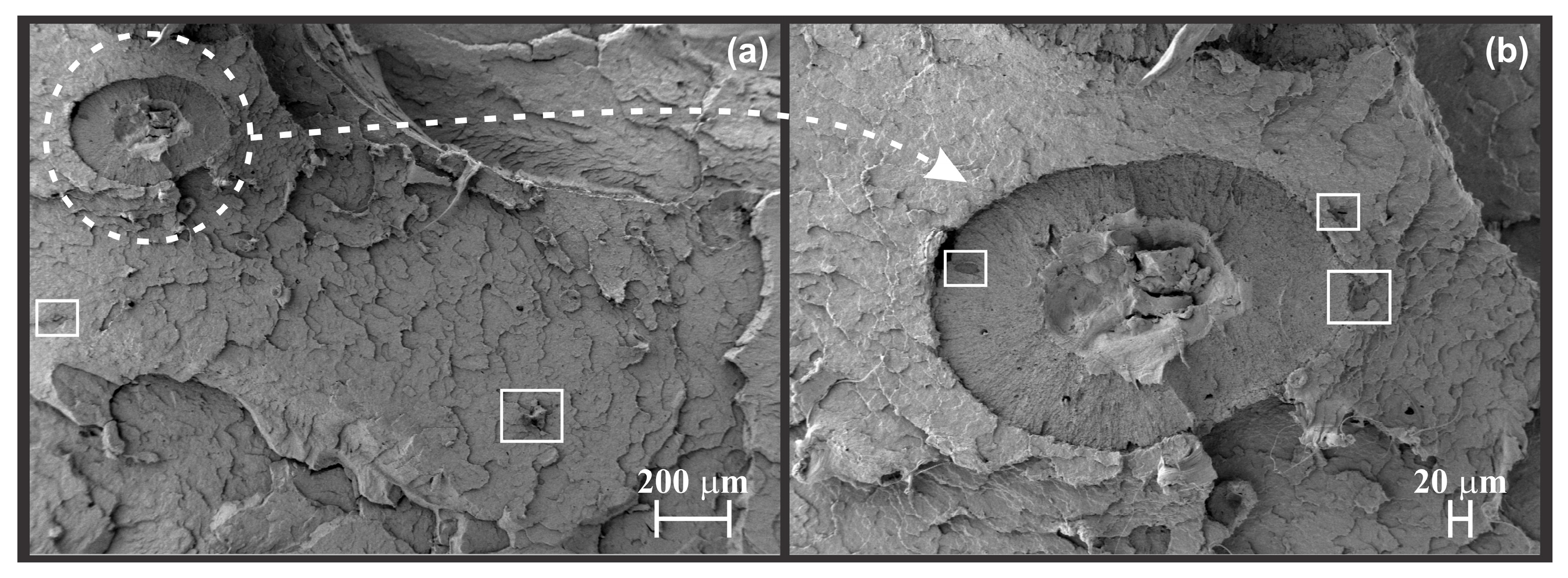 Recycling 11 00026 g007 Recycling 11 00026 g007
