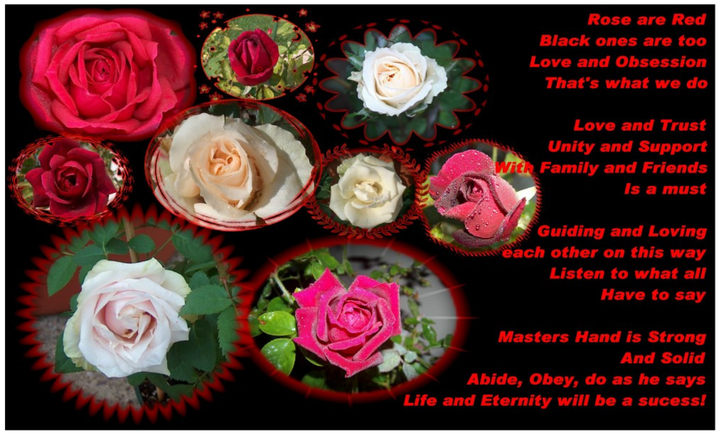 Religions 05 00219 g007 1024