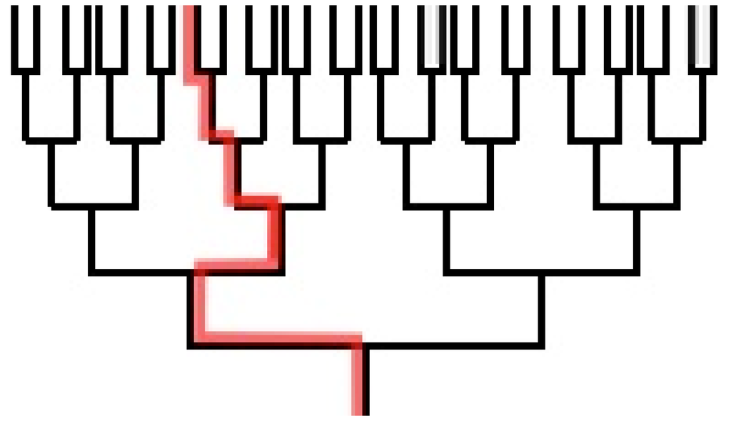 Religions 06 00221 g006 1024