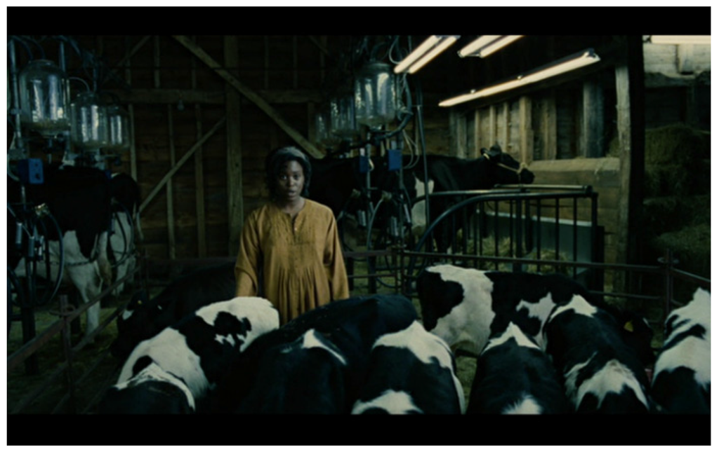 Religions 06 01433 g012 1024