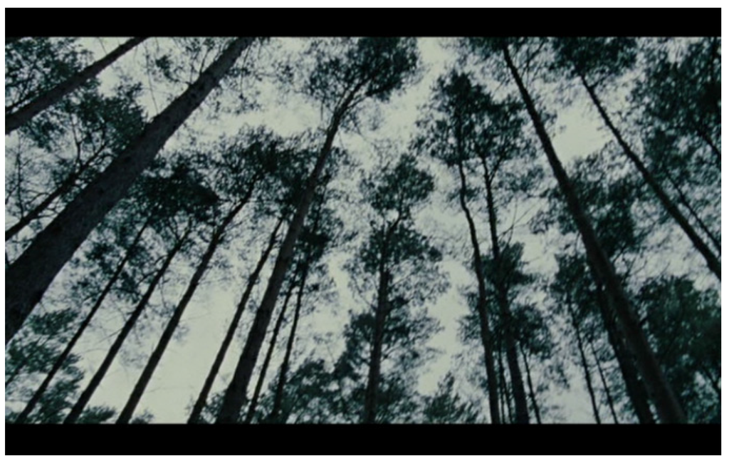 Religions 06 01433 g014 1024