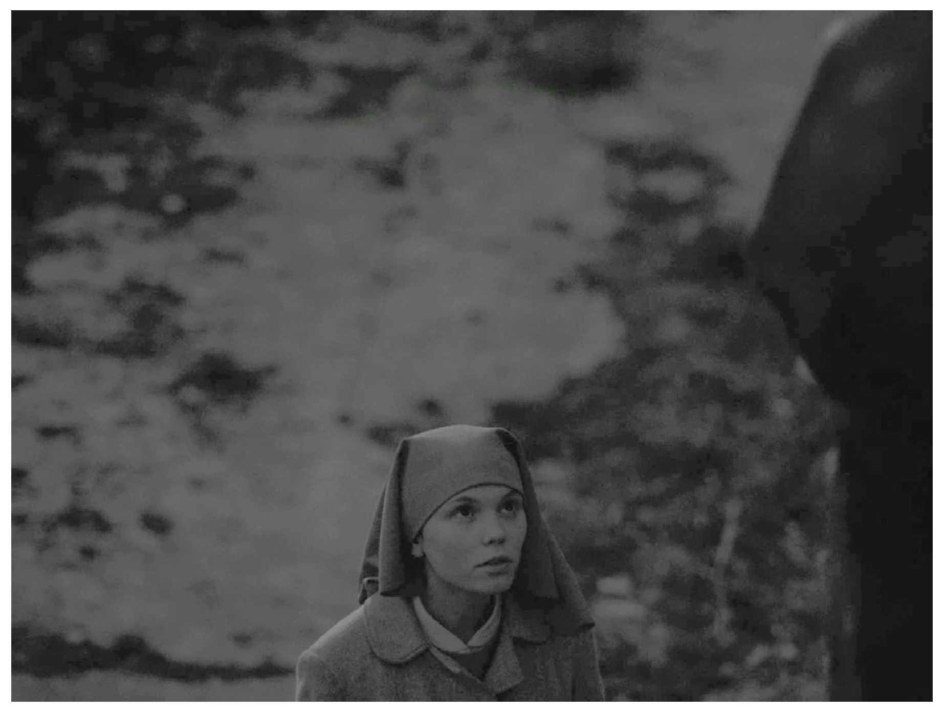 Religions 07 00072 g005