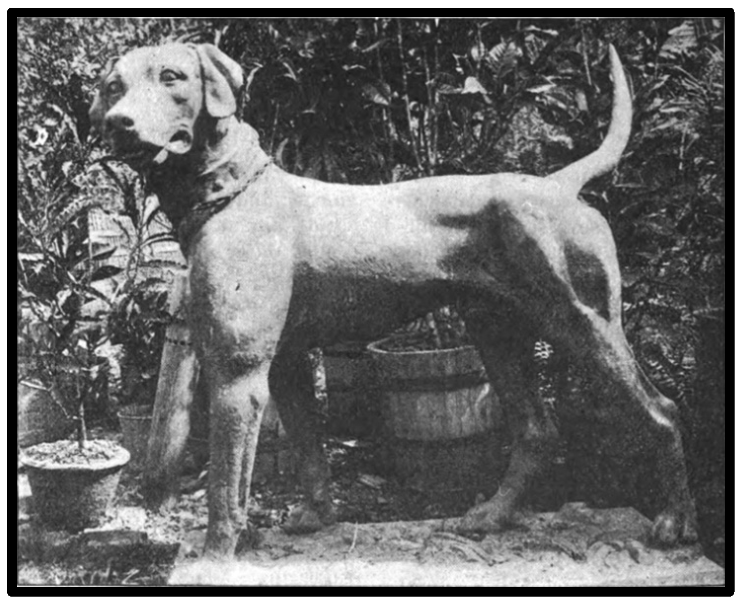 Religions 07 00081 g002