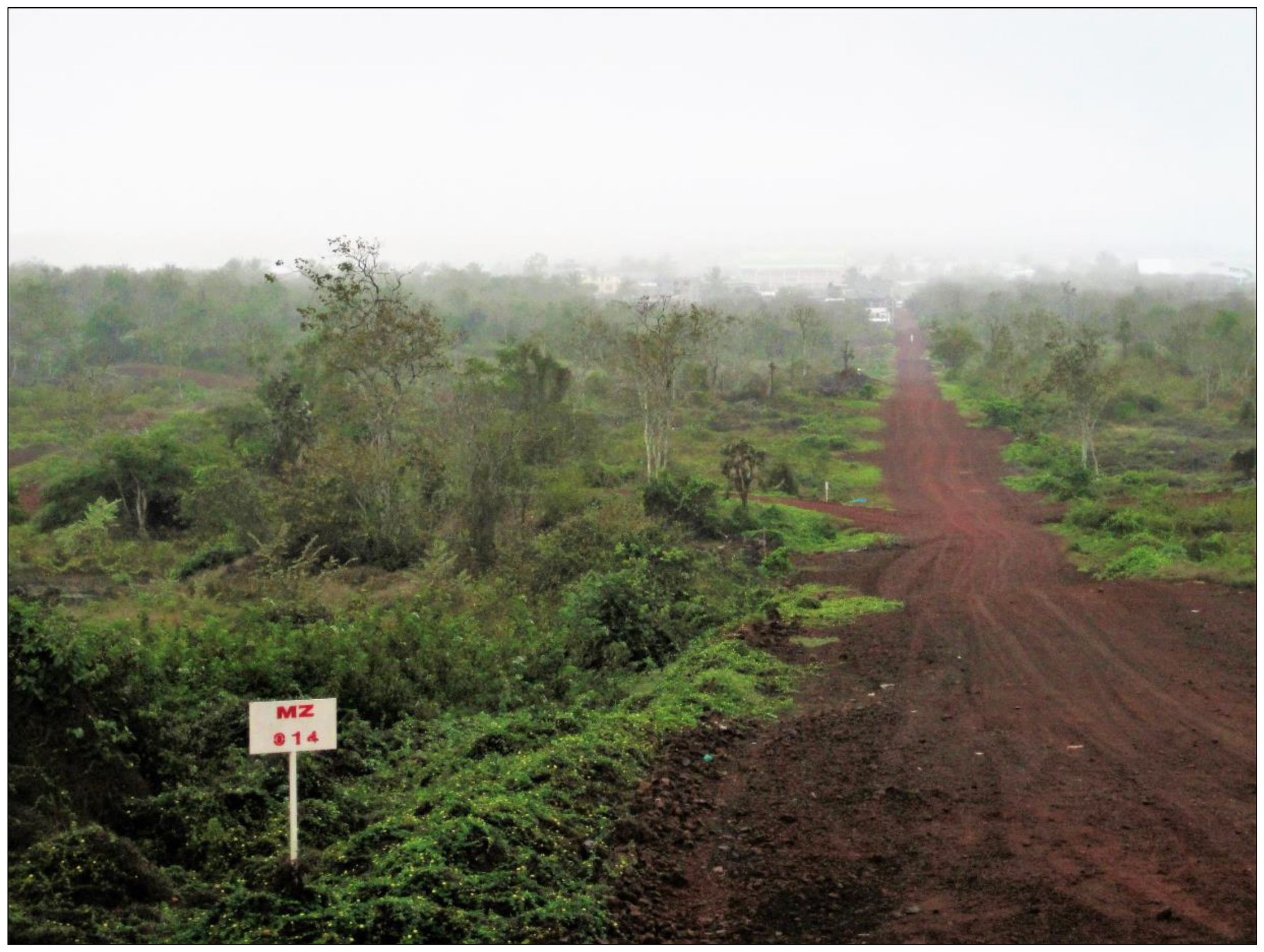 Religions 10 00125 g001