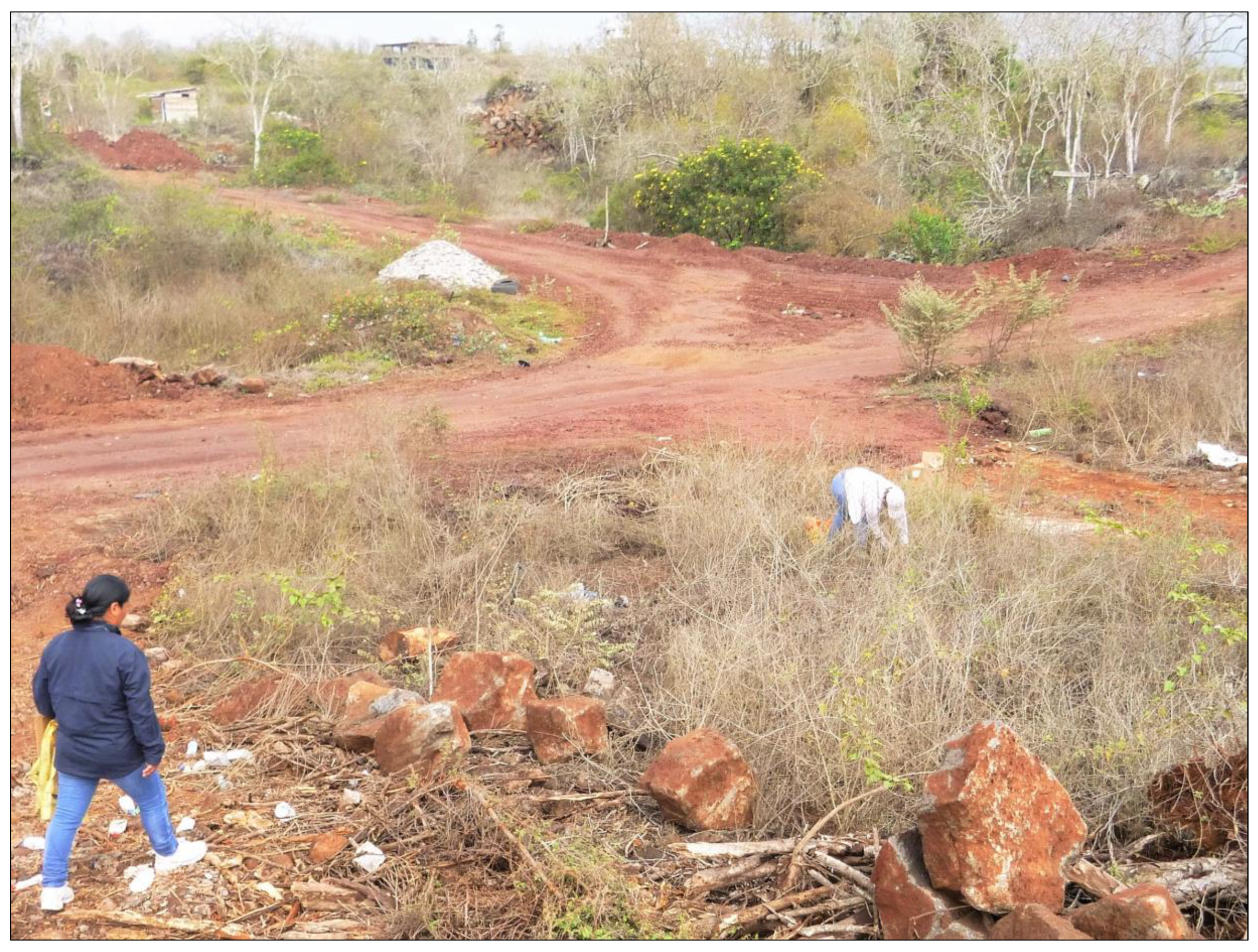 Religions 10 00125 g002