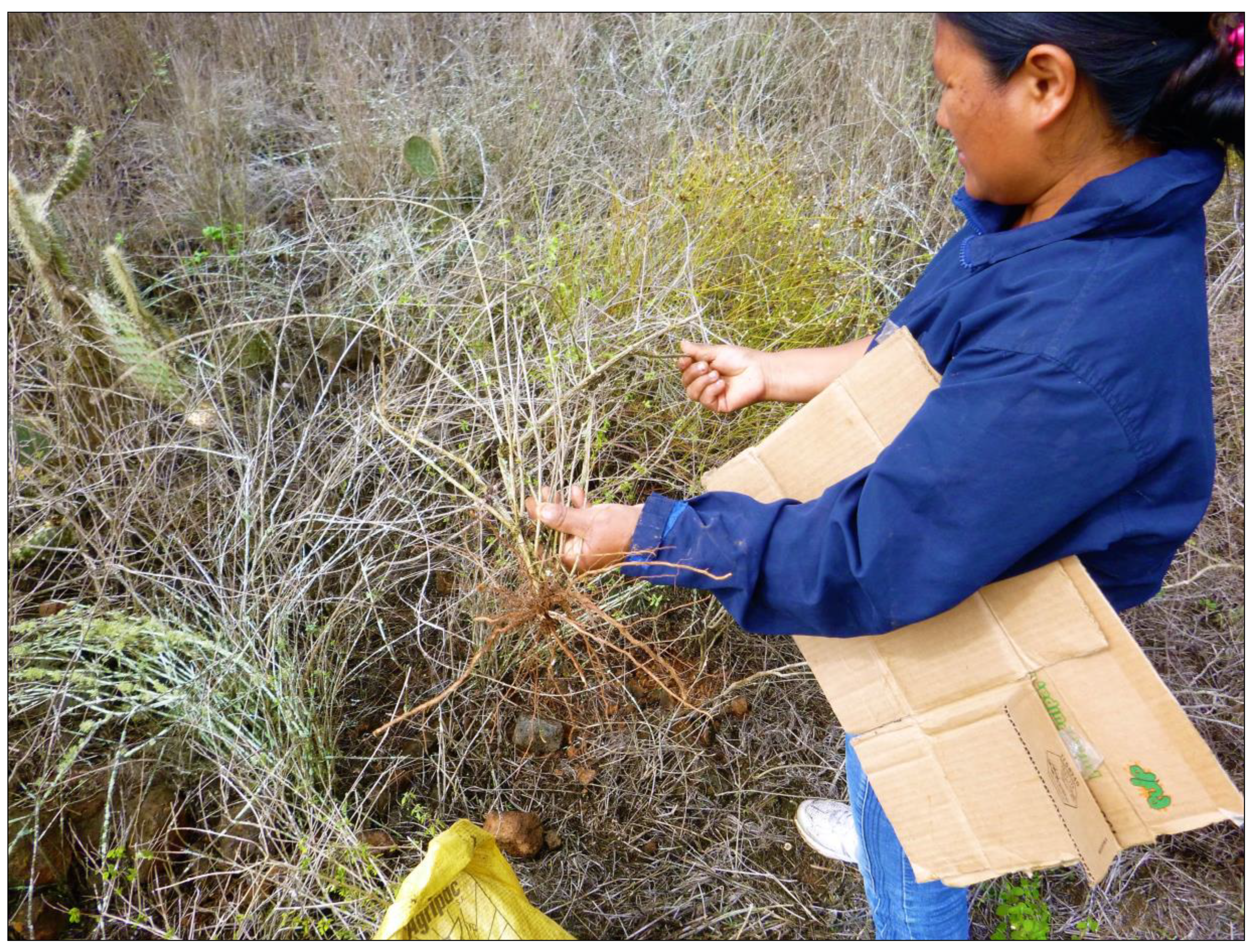 Religions 10 00125 g003