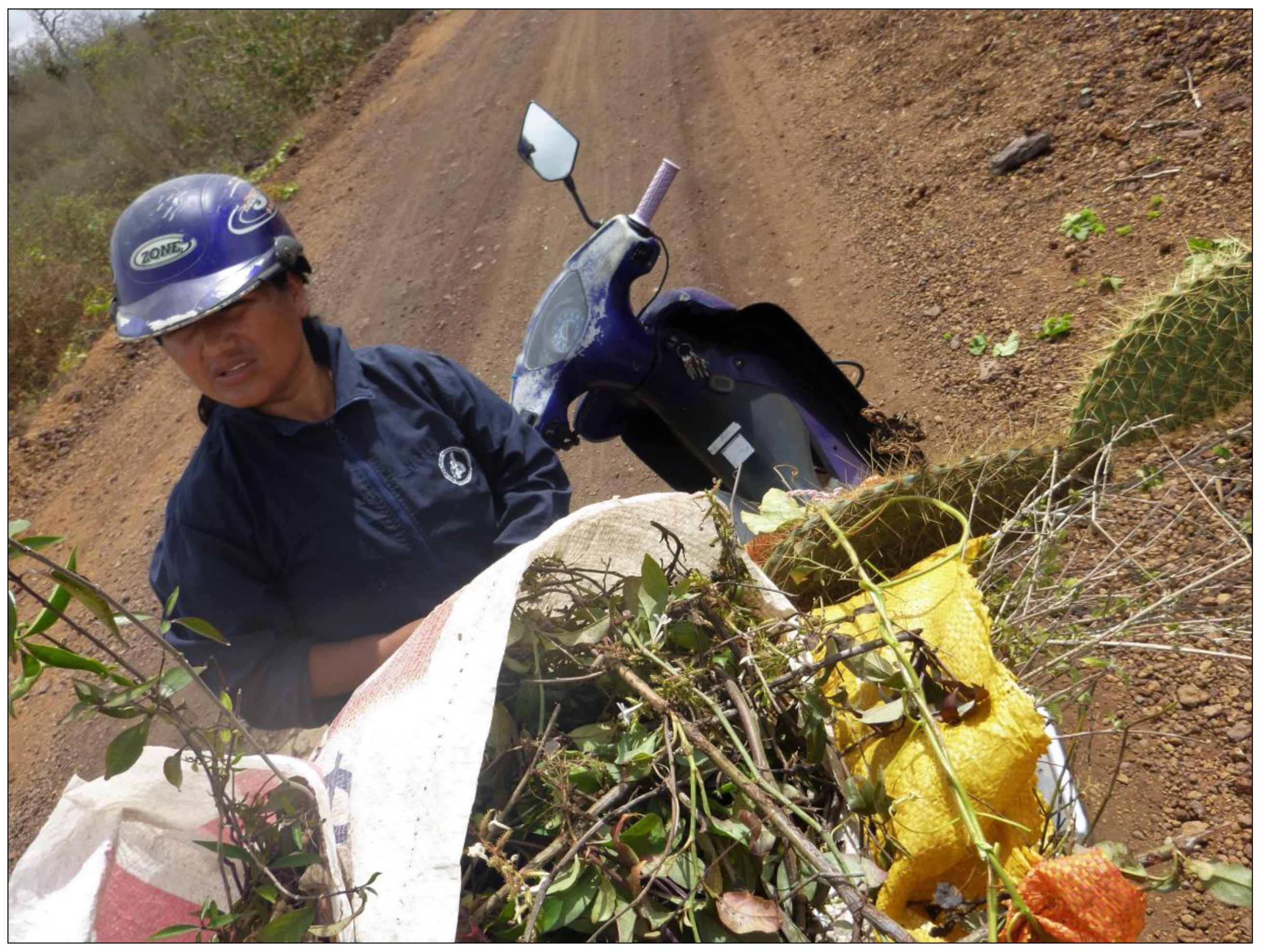 Religions 10 00125 g004