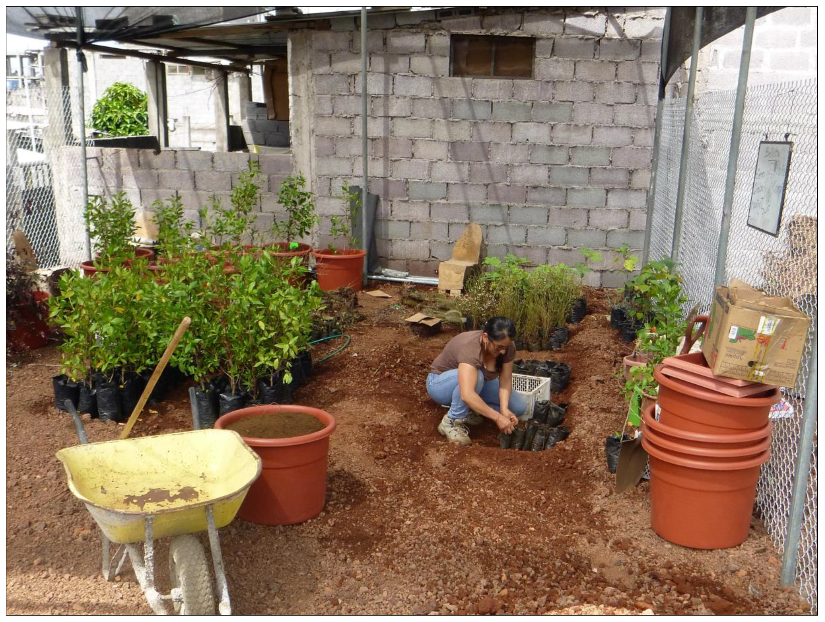 Religions 10 00125 g005