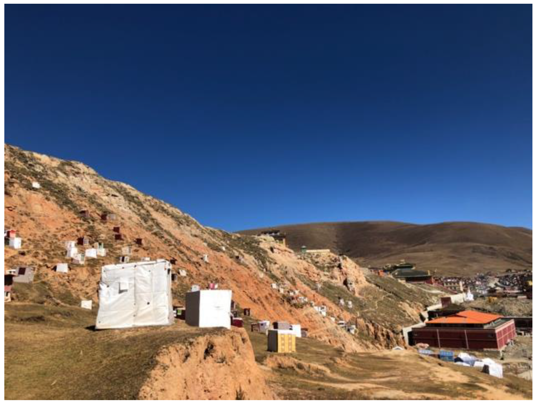 Religions 11 00533 g003