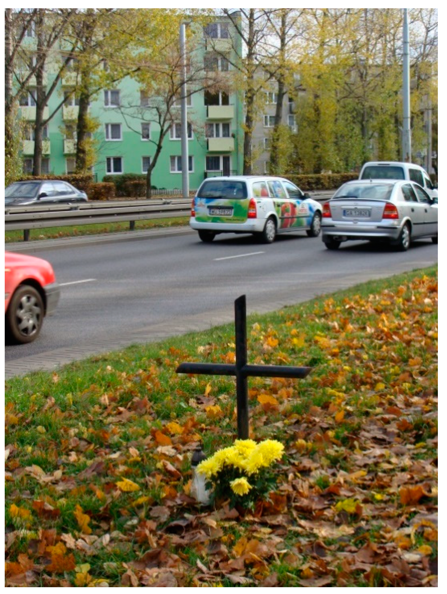 Religions 12 00008 g001