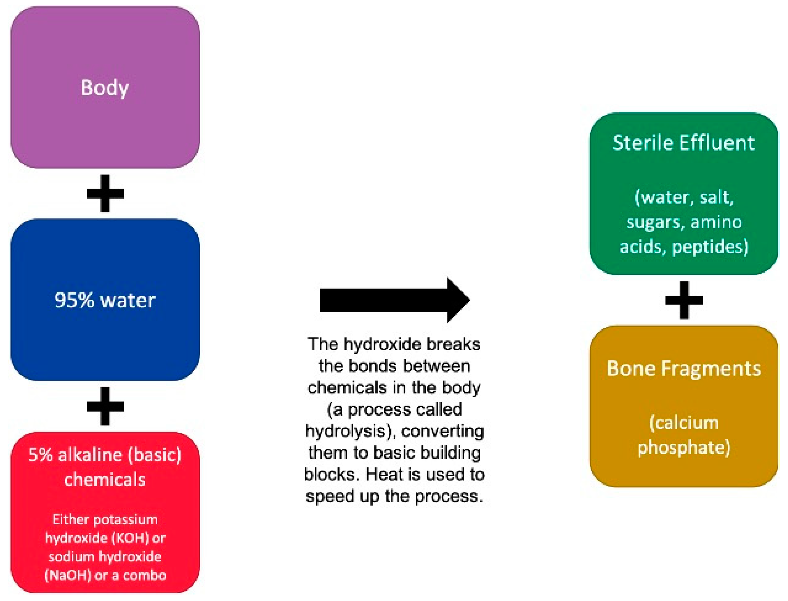 Religions 12 00097 g001 Religions 12 00097 g001