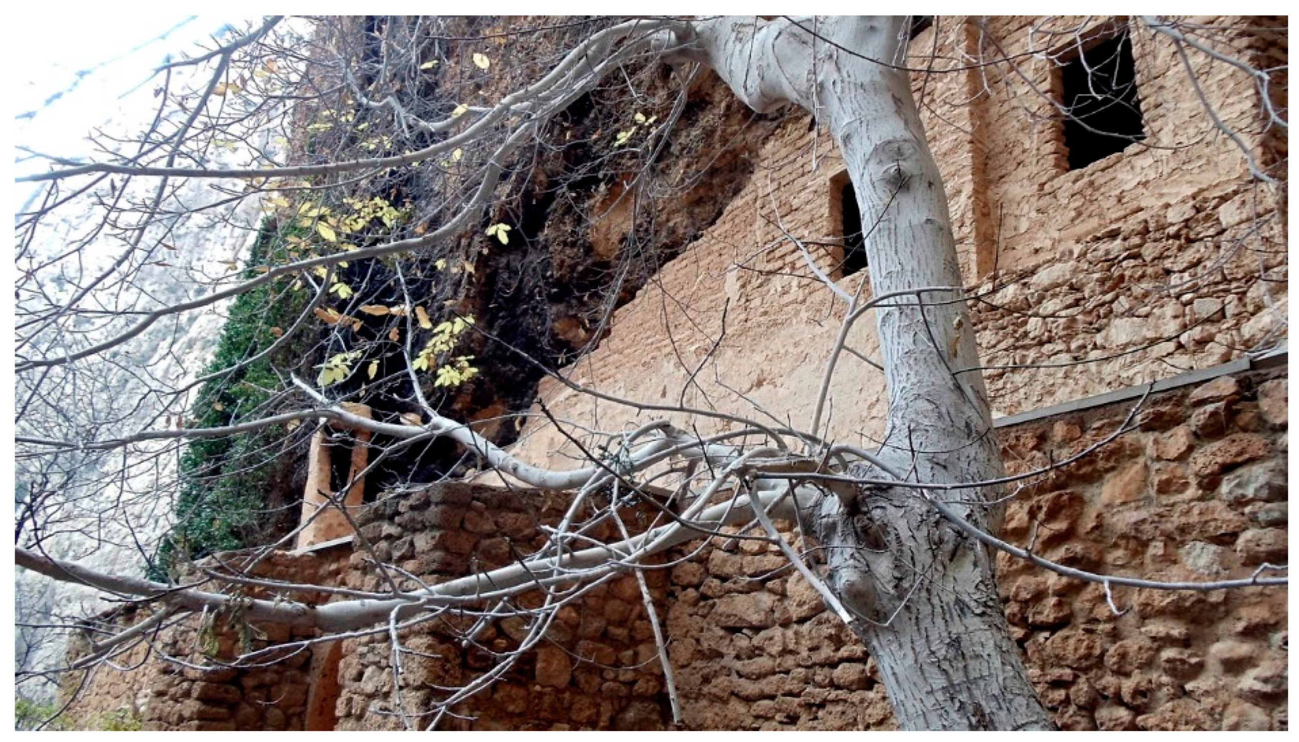 Religions 12 00183 g003 Religions 12 00183 g003