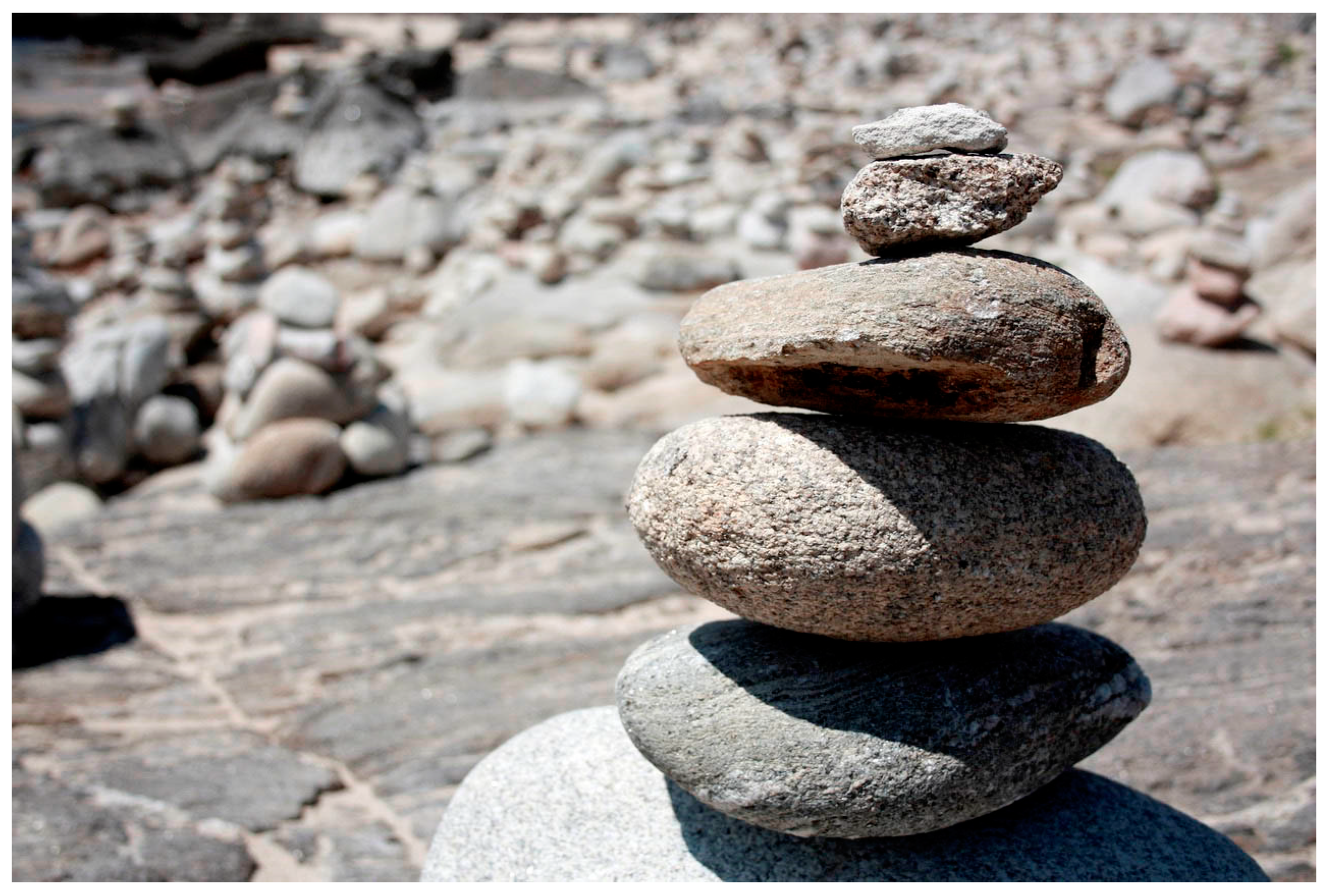 Religions 12 00183 g007 Religions 12 00183 g007