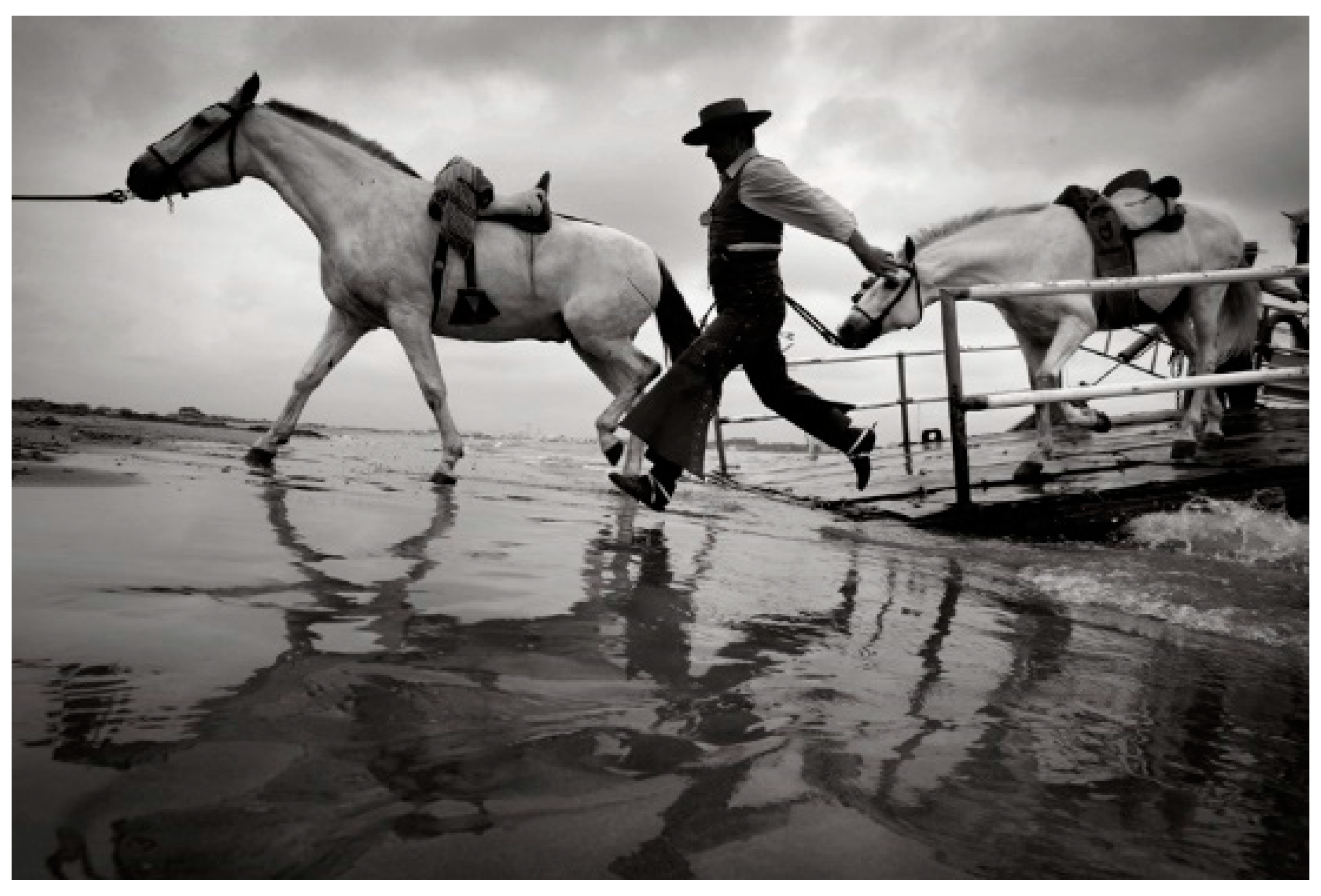 Religions 12 00183 g010 Religions 12 00183 g010