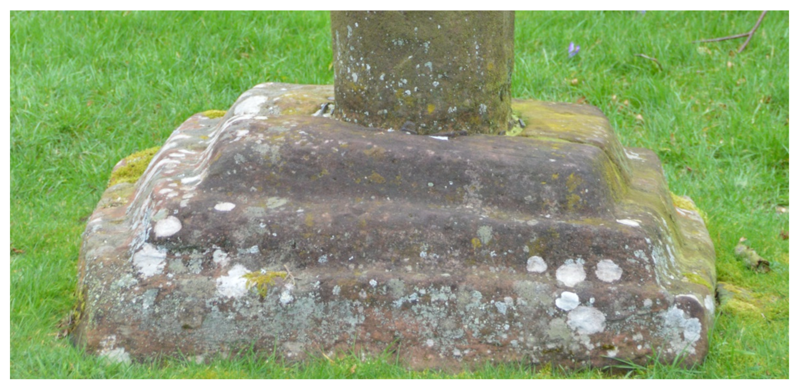 Religions 12 00228 g005