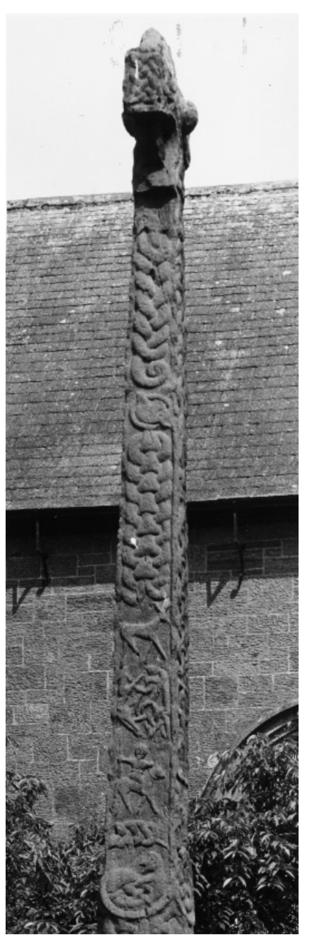 Religions 12 00228 g013