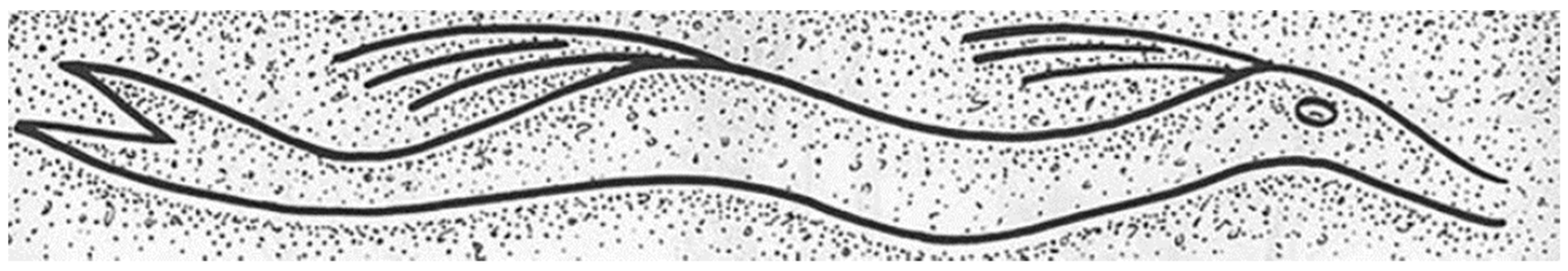 Religions 12 00315 g006