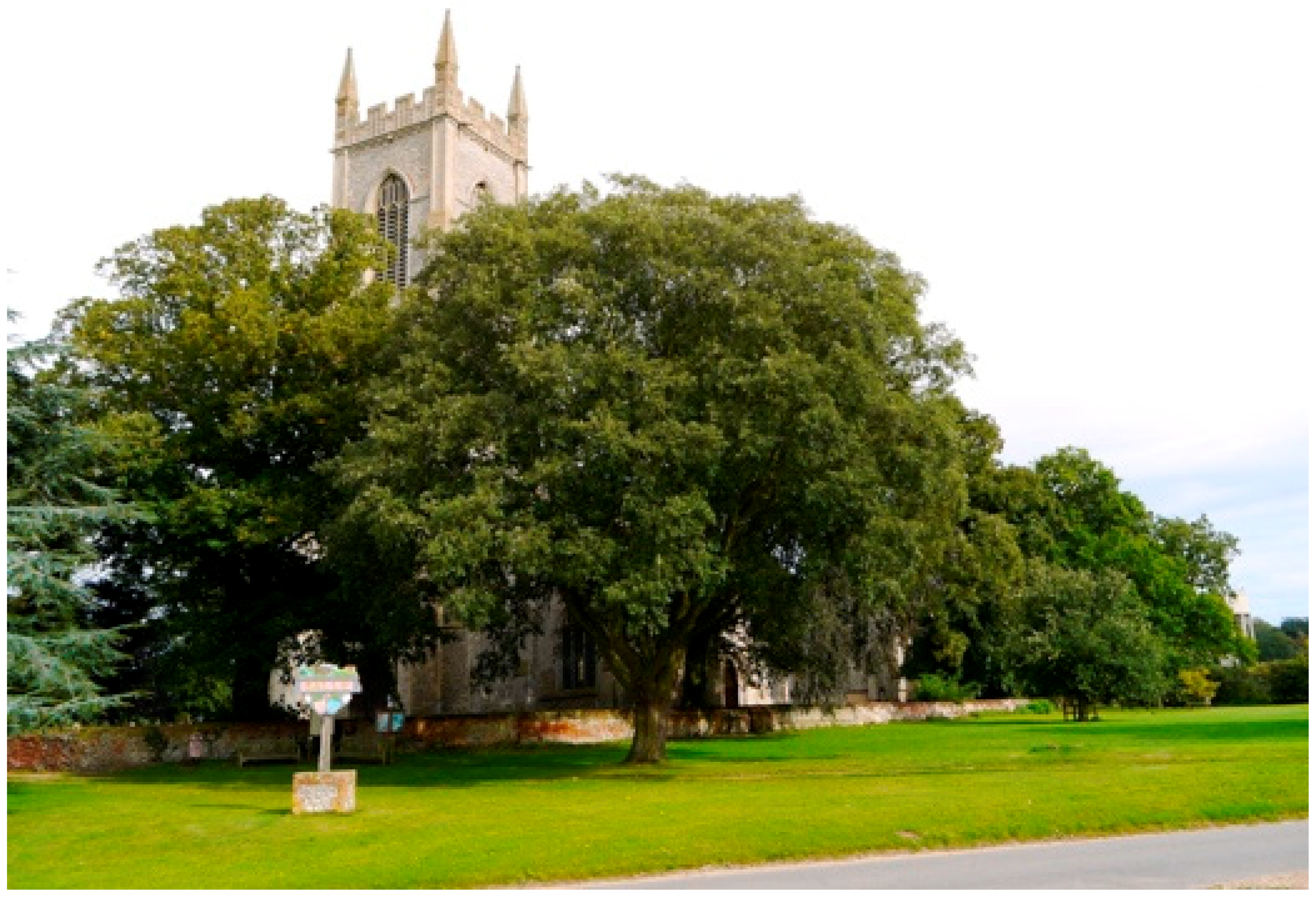 Religions 12 00464 g002