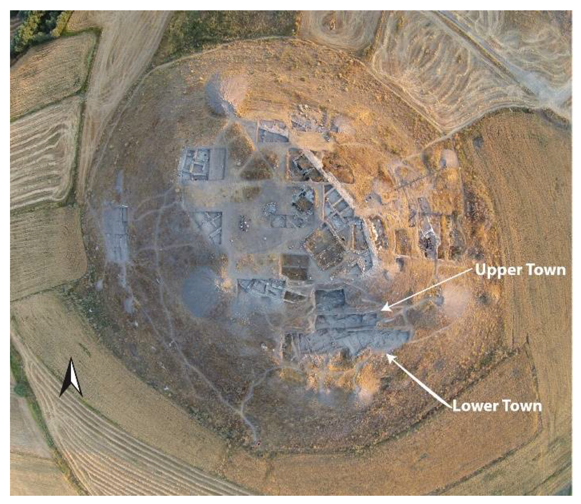 Religions 12 00665 g003