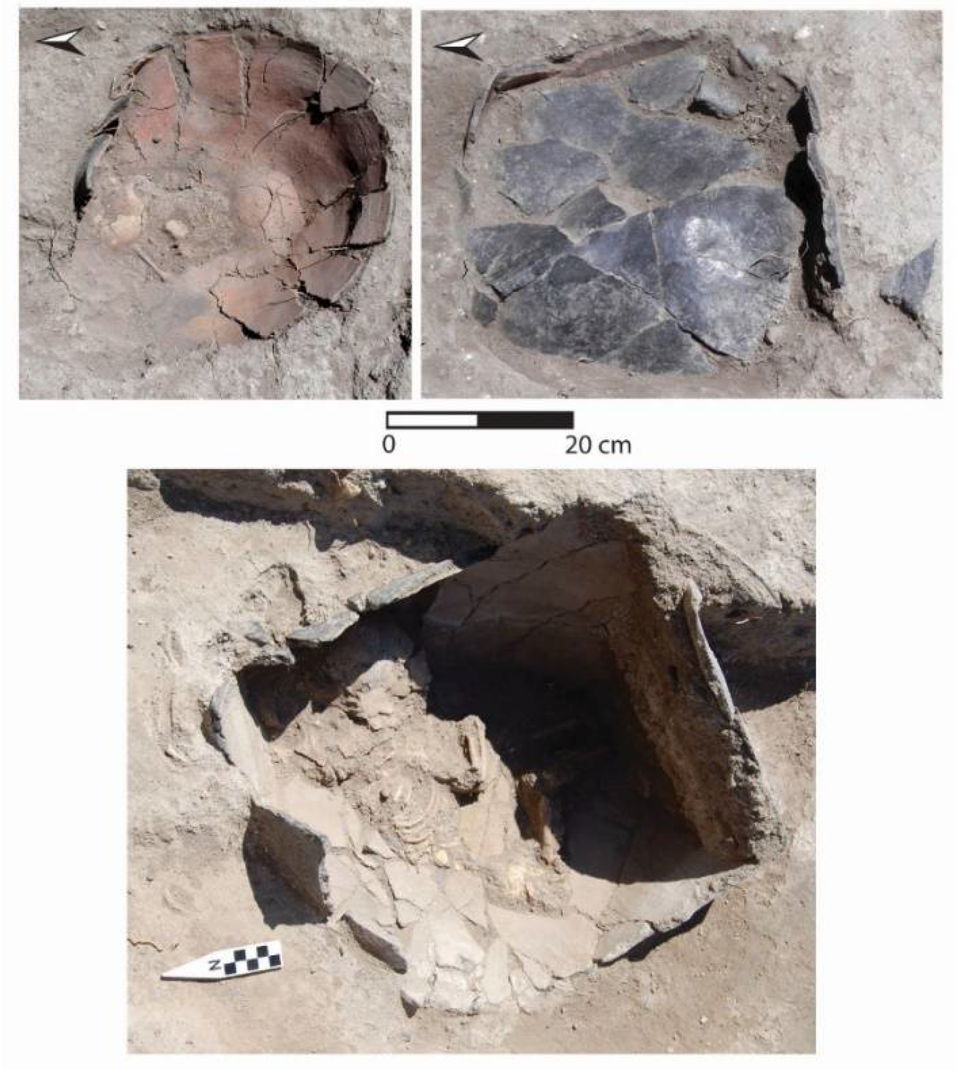 Religions 12 00665 g006