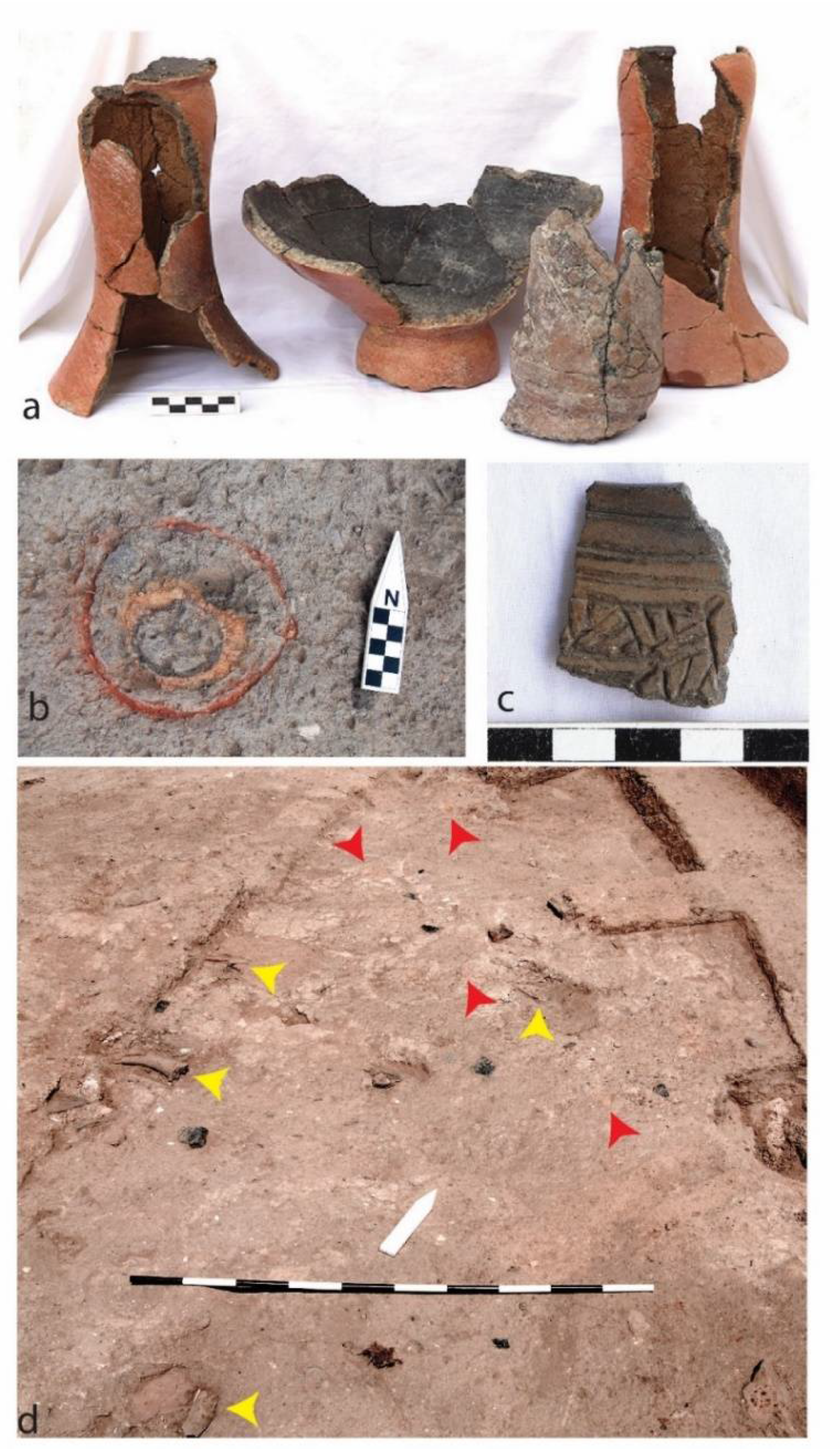 Religions 12 00665 g008