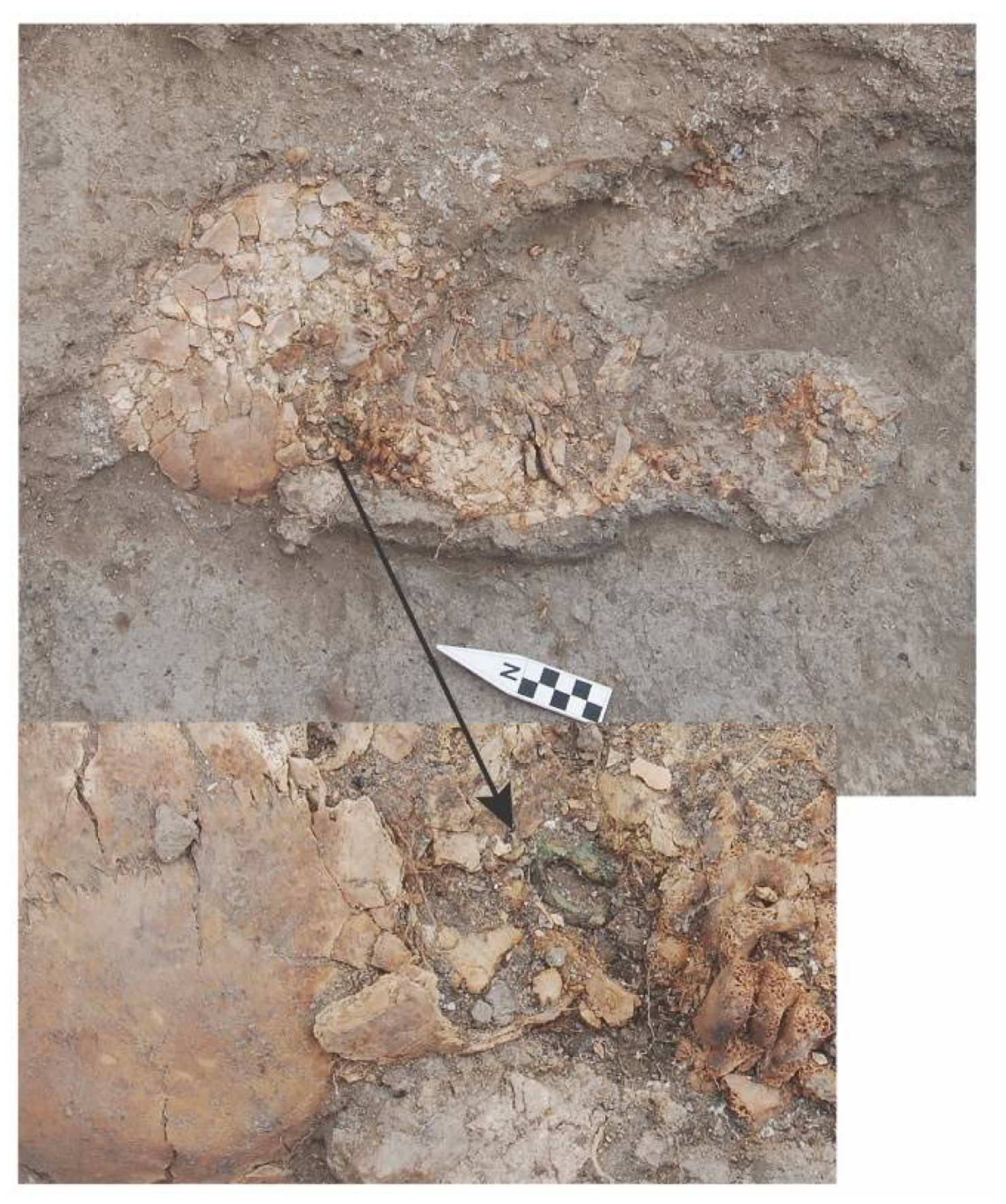 Religions 12 00665 g013