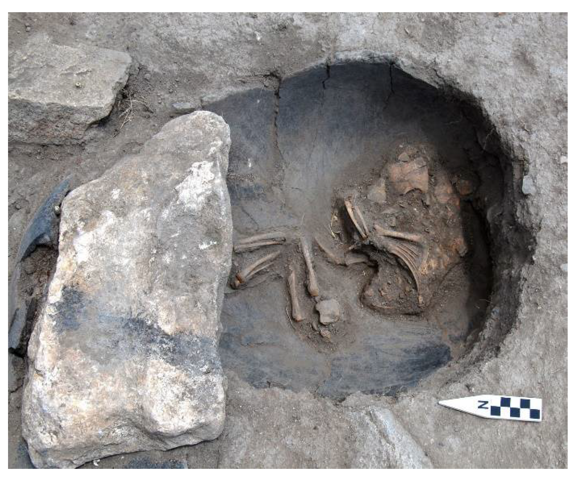 Religions 12 00665 g014