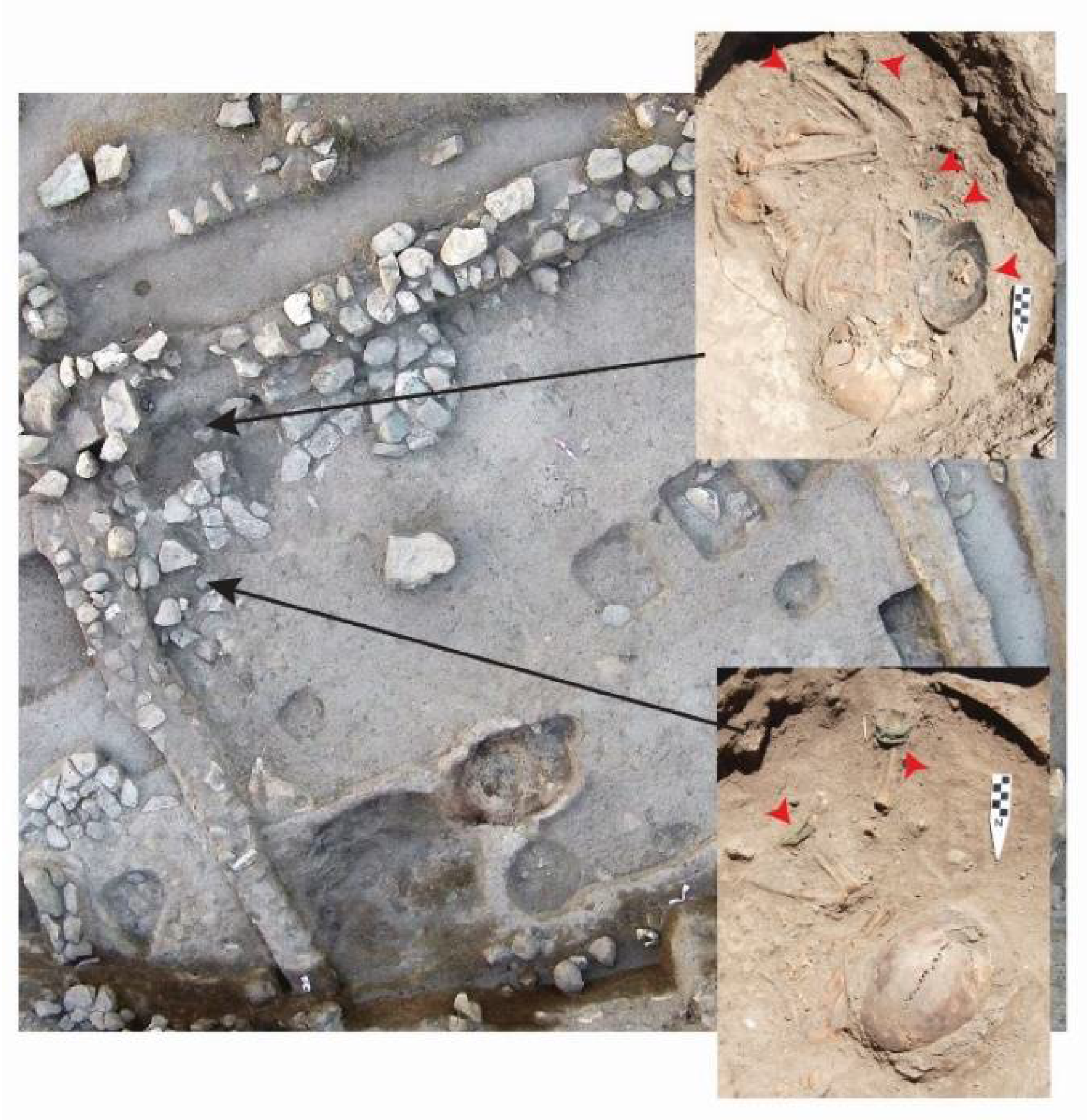 Religions 12 00665 g015