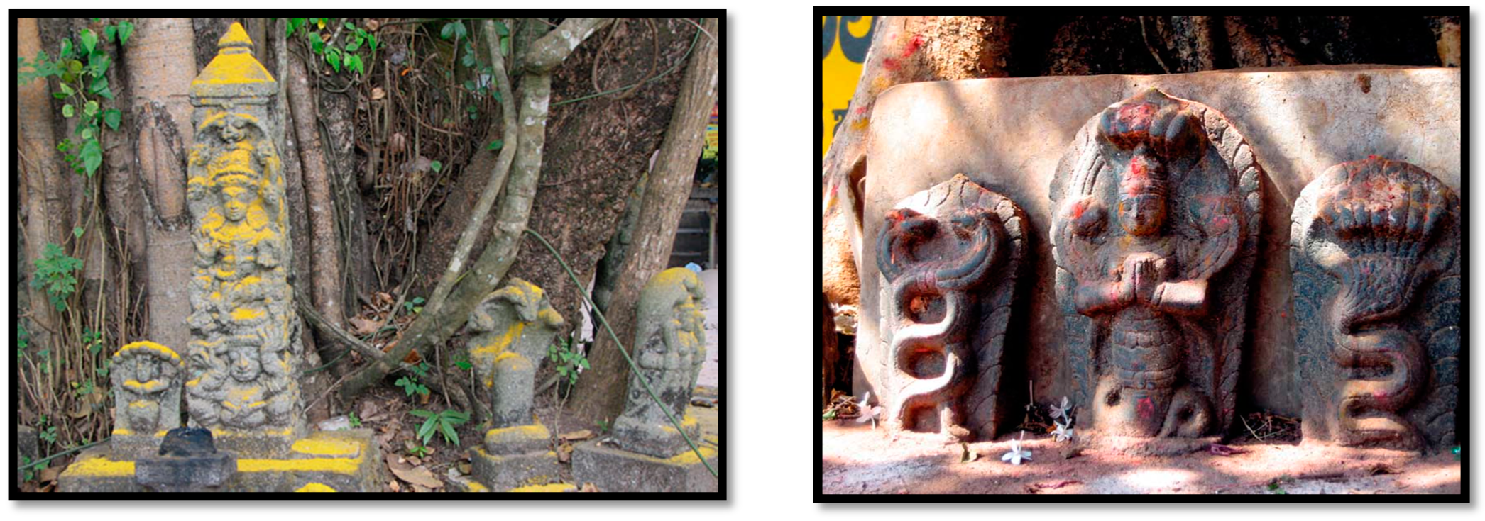 Religions 12 00684 g017b