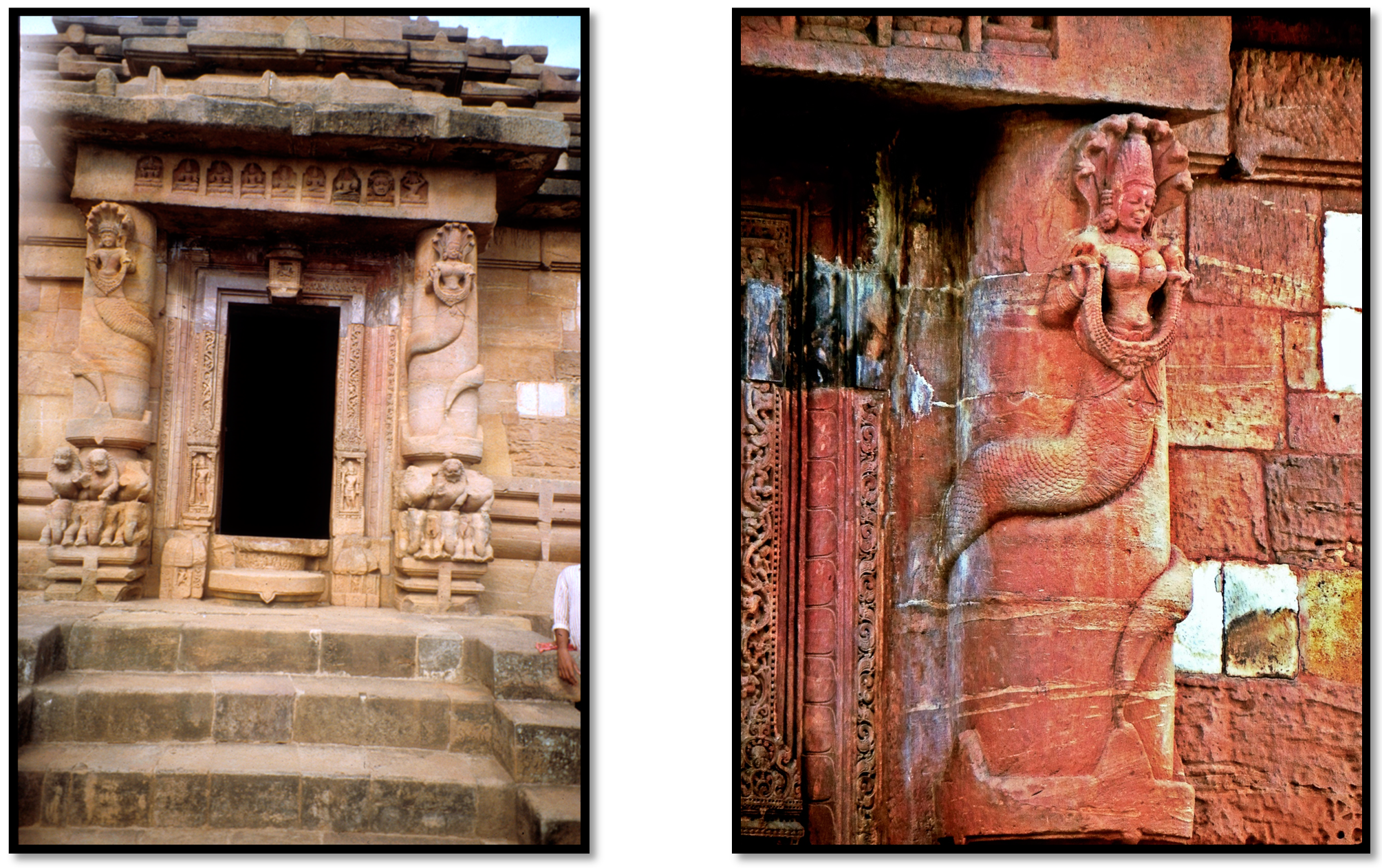 Religions 12 00684 g018