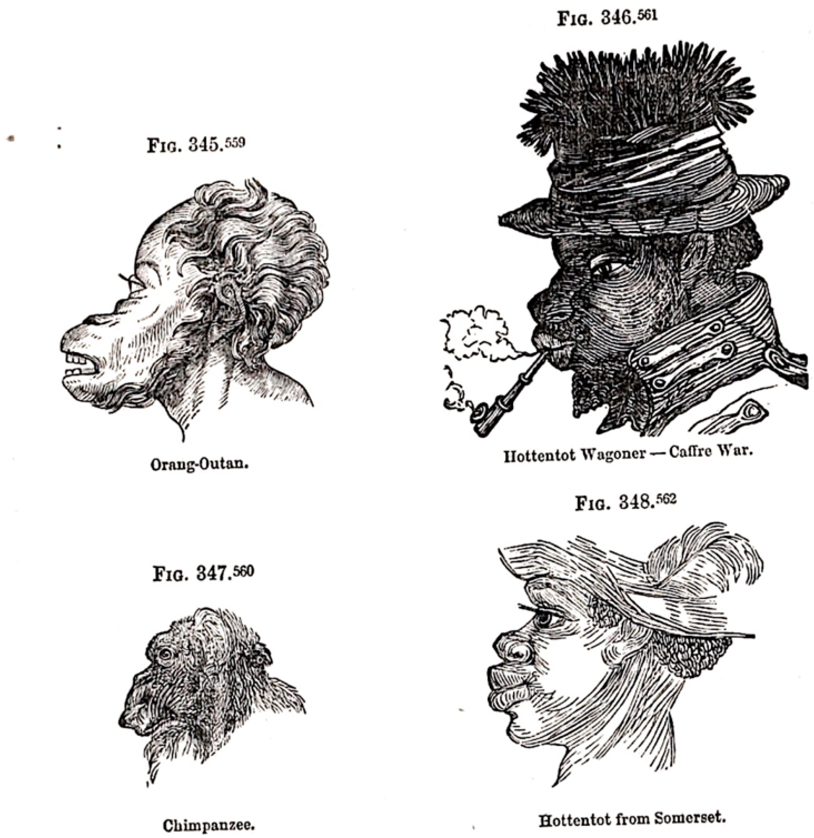 Religions 12 00742 g001